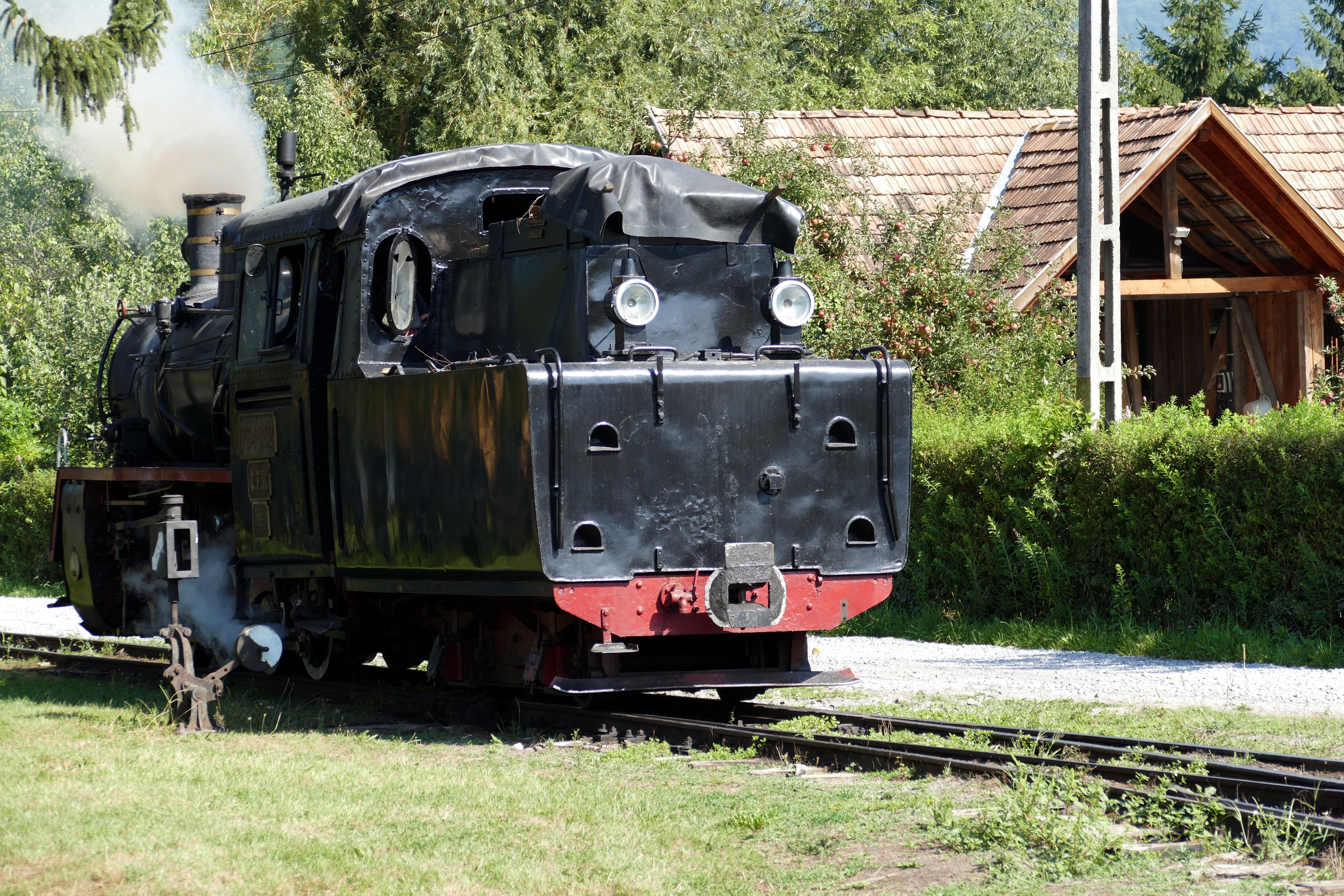 no people, train - vehicle, day, transylvania, transportation, field, tank locomotive, outdoors, sovata, rail transportation, nostalgia, grass, plant, public transportation, HD Wallpaper