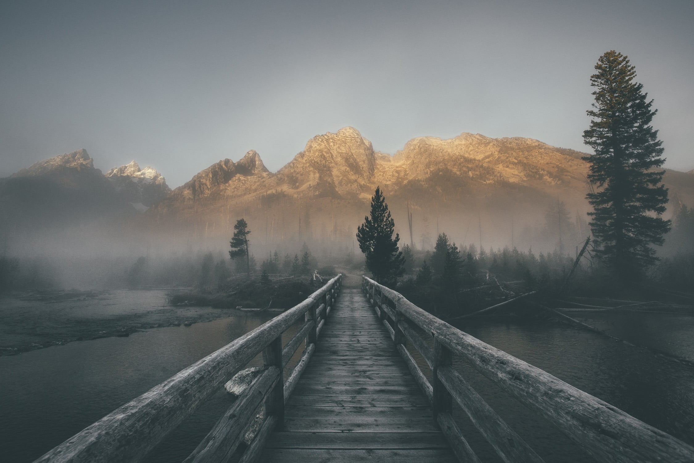 landscape, mountains, fog, land, direction, tranquil scene, mist, wooden, plant, tree, the way forward, diminishing perspective, nature, tranquility, forest, HD Wallpaper