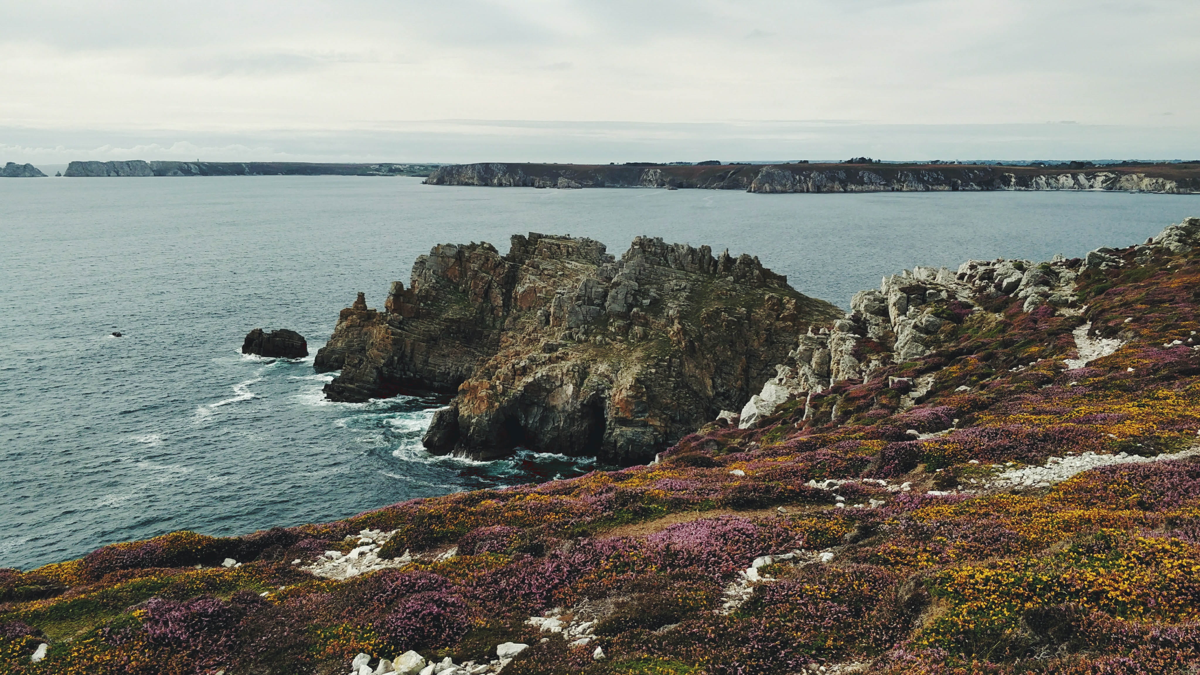 nature, cliffs, land, day, water, sky, flowers, tranquility, beauty in nature, non-urban scene, blue, landscape, vegetation, pointe de dinan, idyllic, tranquil scene, HD Wallpaper