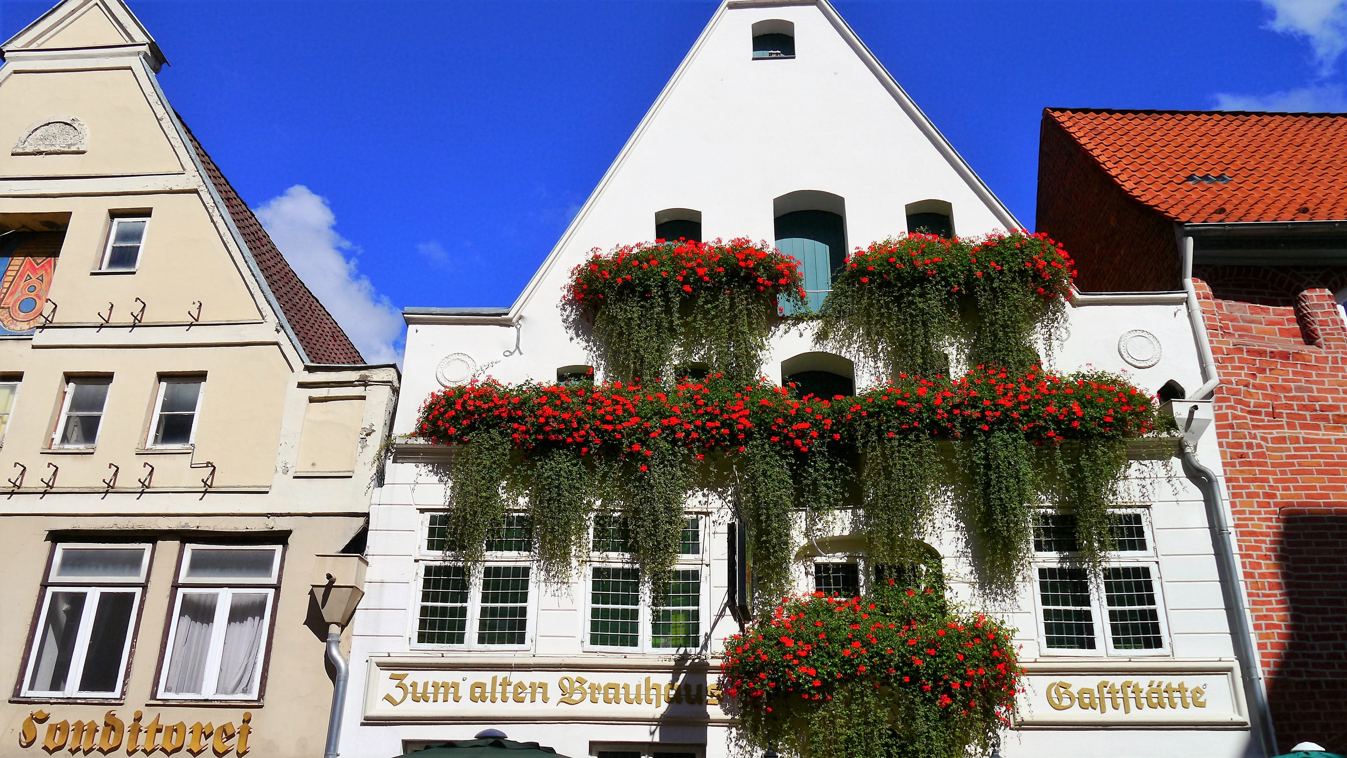 house, city, window, residential building, building, inn, nature, old house, decoration, growth, day, low angle view, sky, romantic, residential district, HD Wallpaper