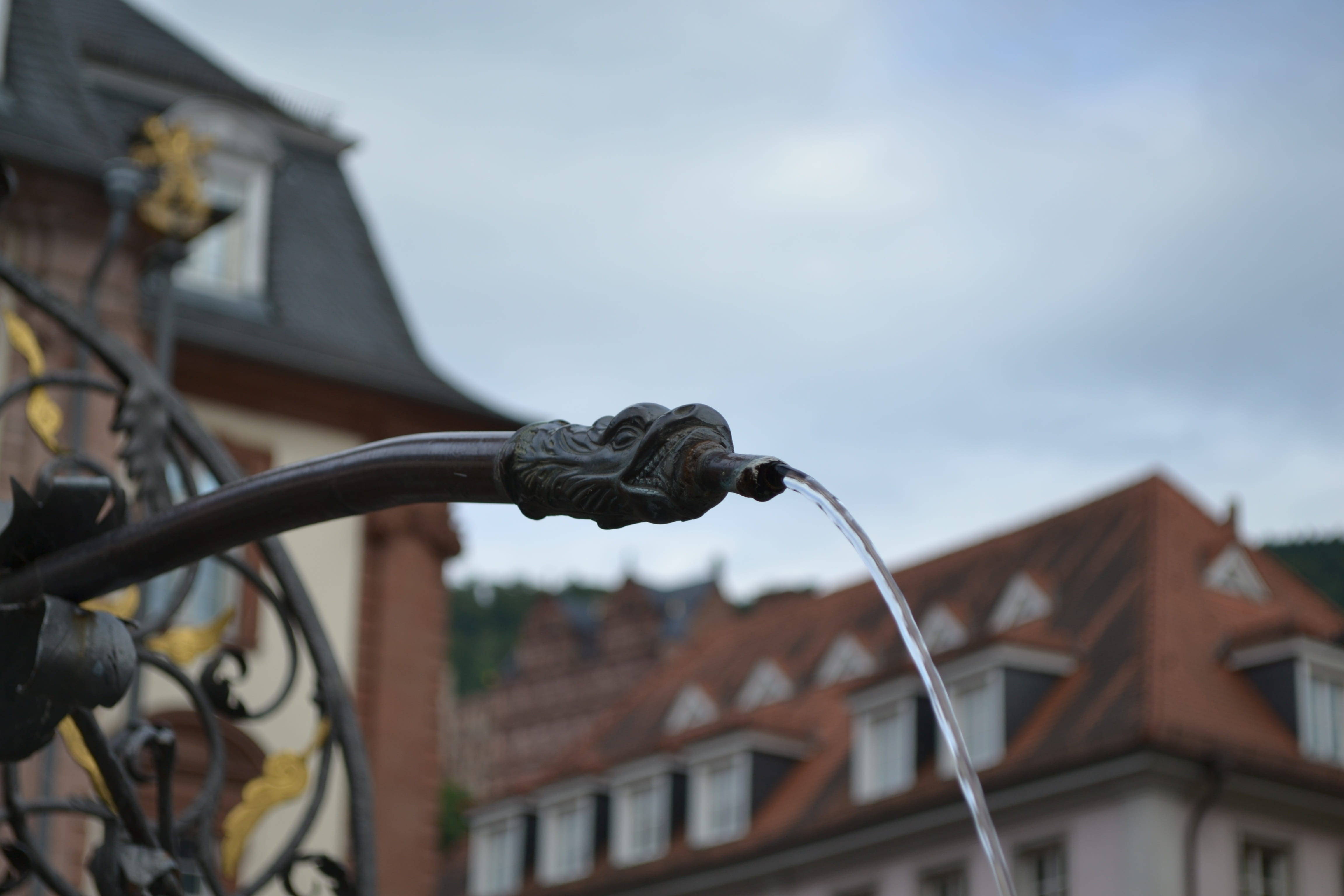old town, outdoors, baden württemberg, residential district, low angle view, day, germany, nature, cloud - sky, more, focus on foreground, building exterior, HD Wallpaper