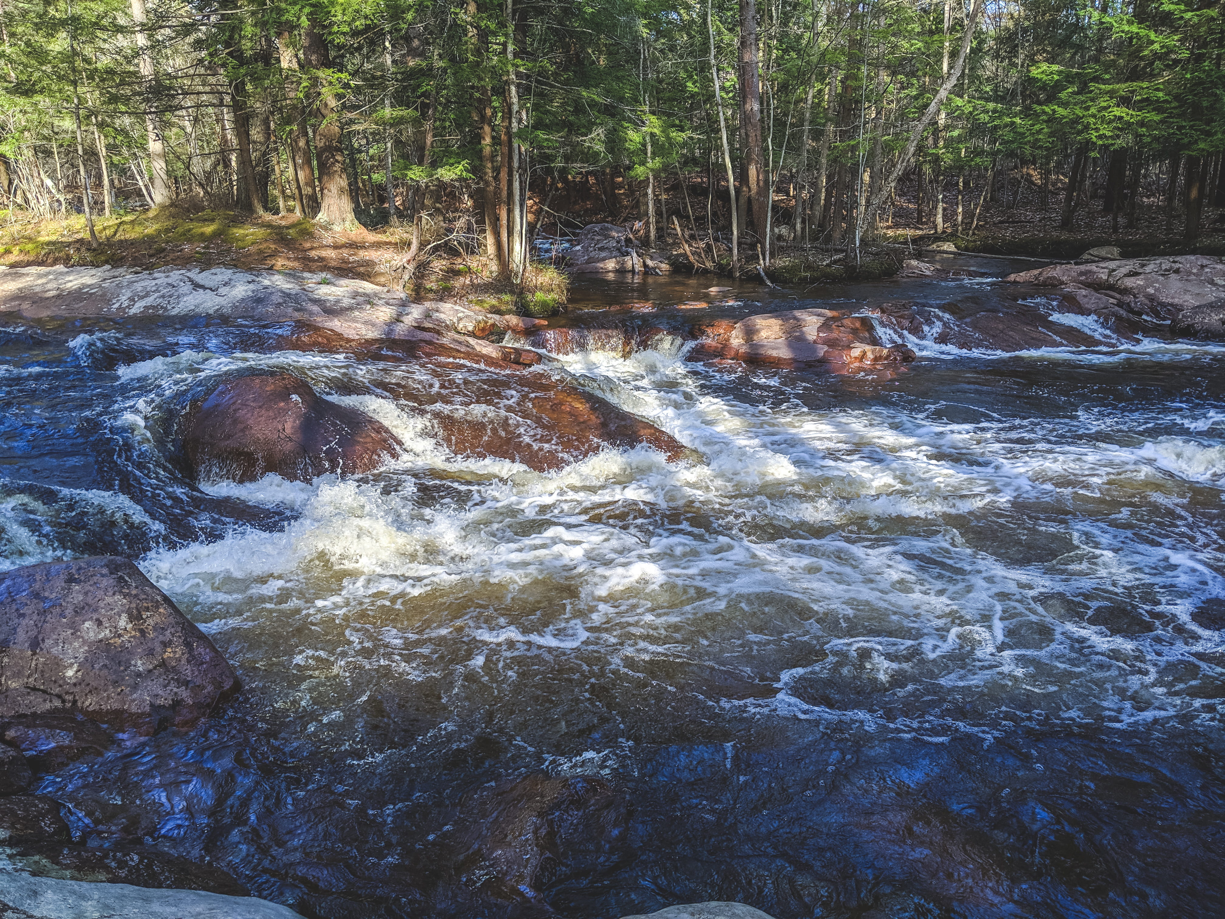 water, non-urban scene, us, beauty in nature, plant, waterfront, power in nature, cabin, outdoors, forest, day, flow, adirondack, trees, rock, scenics - nature, HD Wallpaper