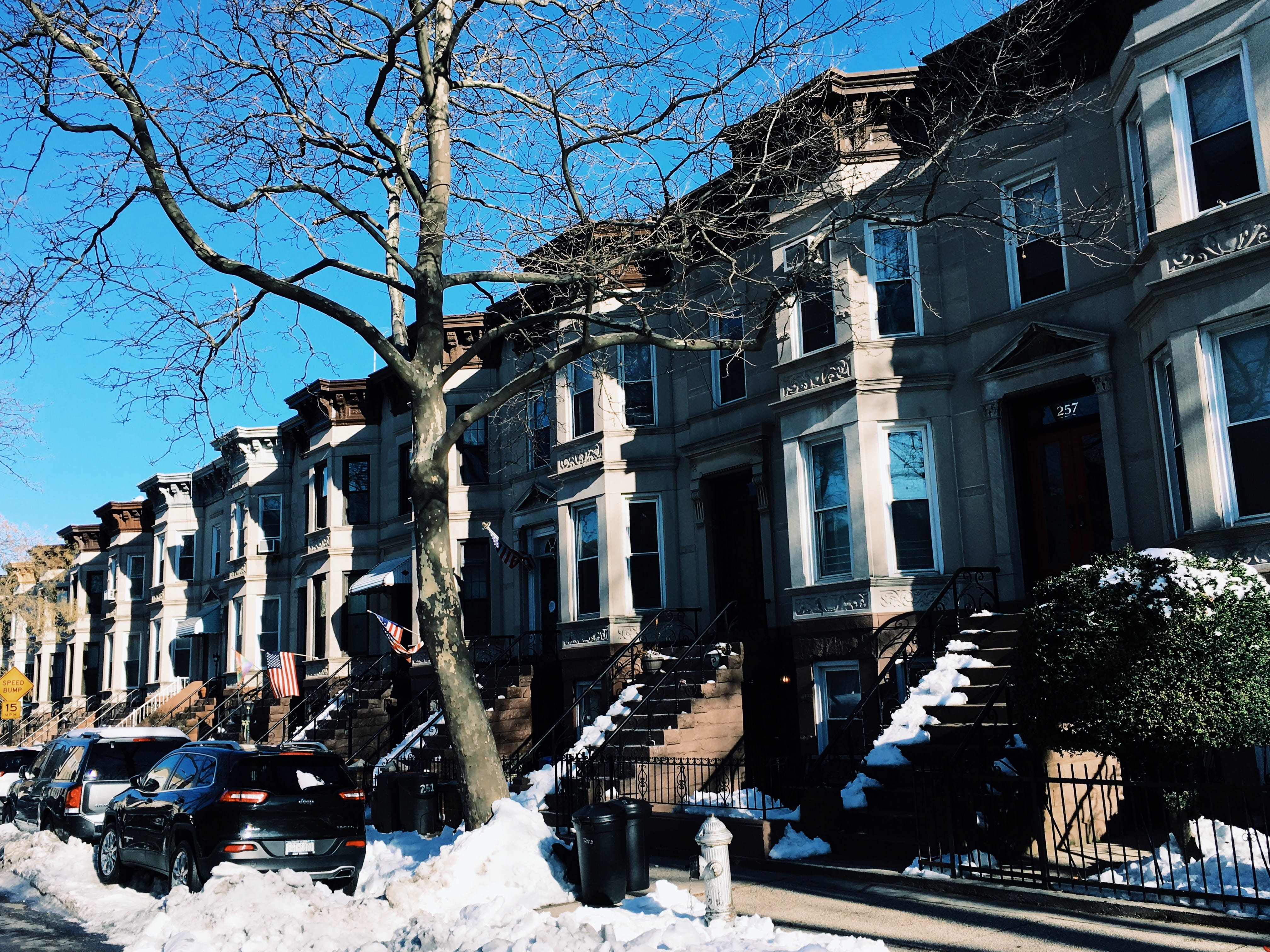 building, no people, snow, sunlight, nature, tree, sky, low angle view, building exterior, built structure, winter, day, apartment, plant, architecture, HD Wallpaper