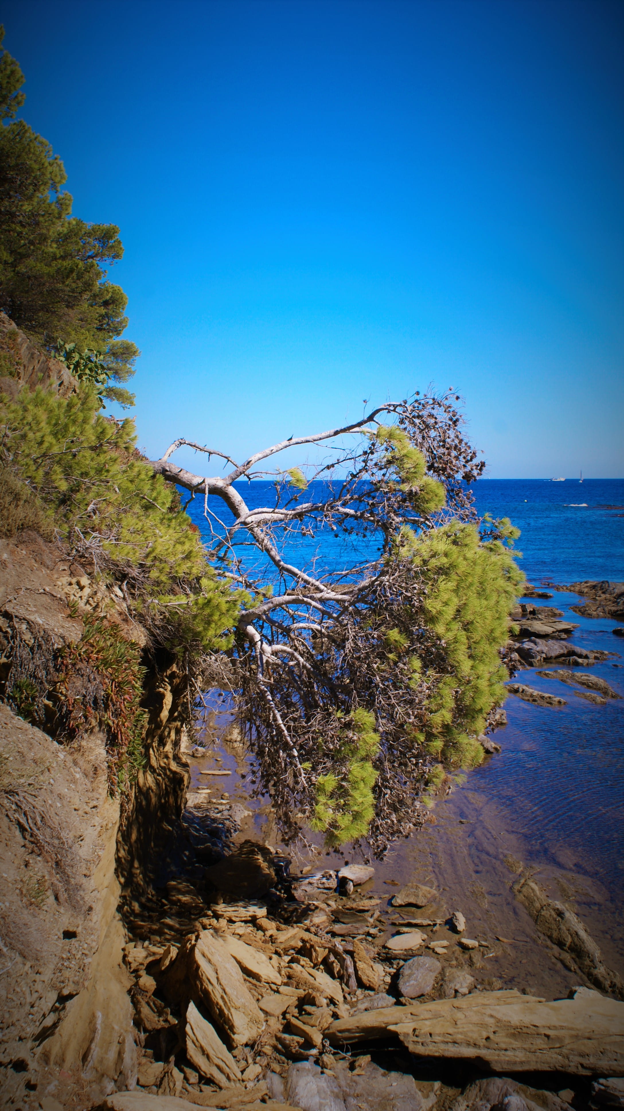 nature, rock, land, outdoors, trees, beauty in nature, water, spain, tree, blue, scenics - nature, tranquil scene, clear sky, sea, tranquility, sky, cadaqués, Phone HD Wallpaper