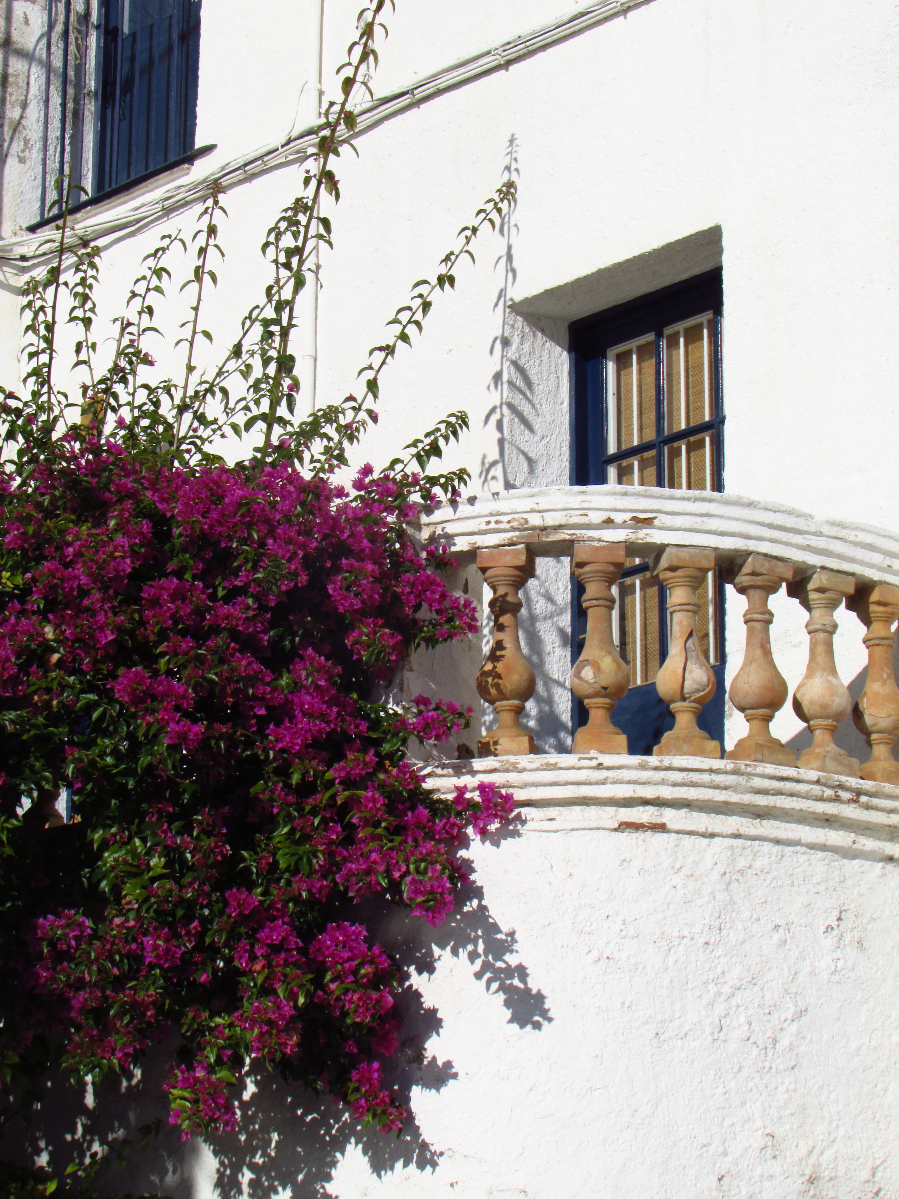 staircase, purple, day, built structure, white, building exterior, residential district, growth, freshness, plant, costa brava, no people, cadaqués, building, Phone HD Wallpaper