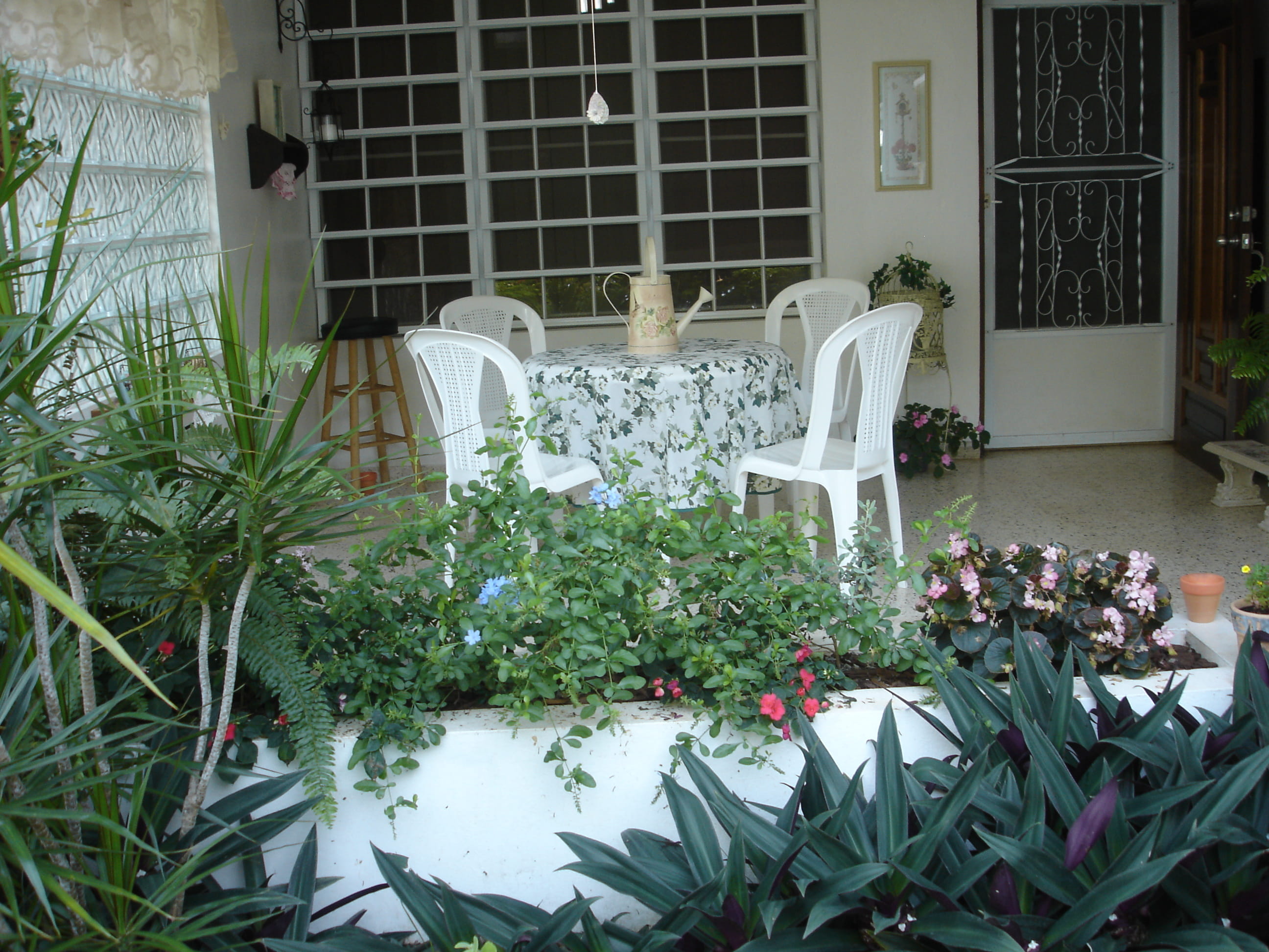 white color, foliage, tropical, chairs, puerto rico, balcón, bouquet, leaf, building exterior, mesa, windows, home, island, wedding, flowers, isla, flower, HD Wallpaper