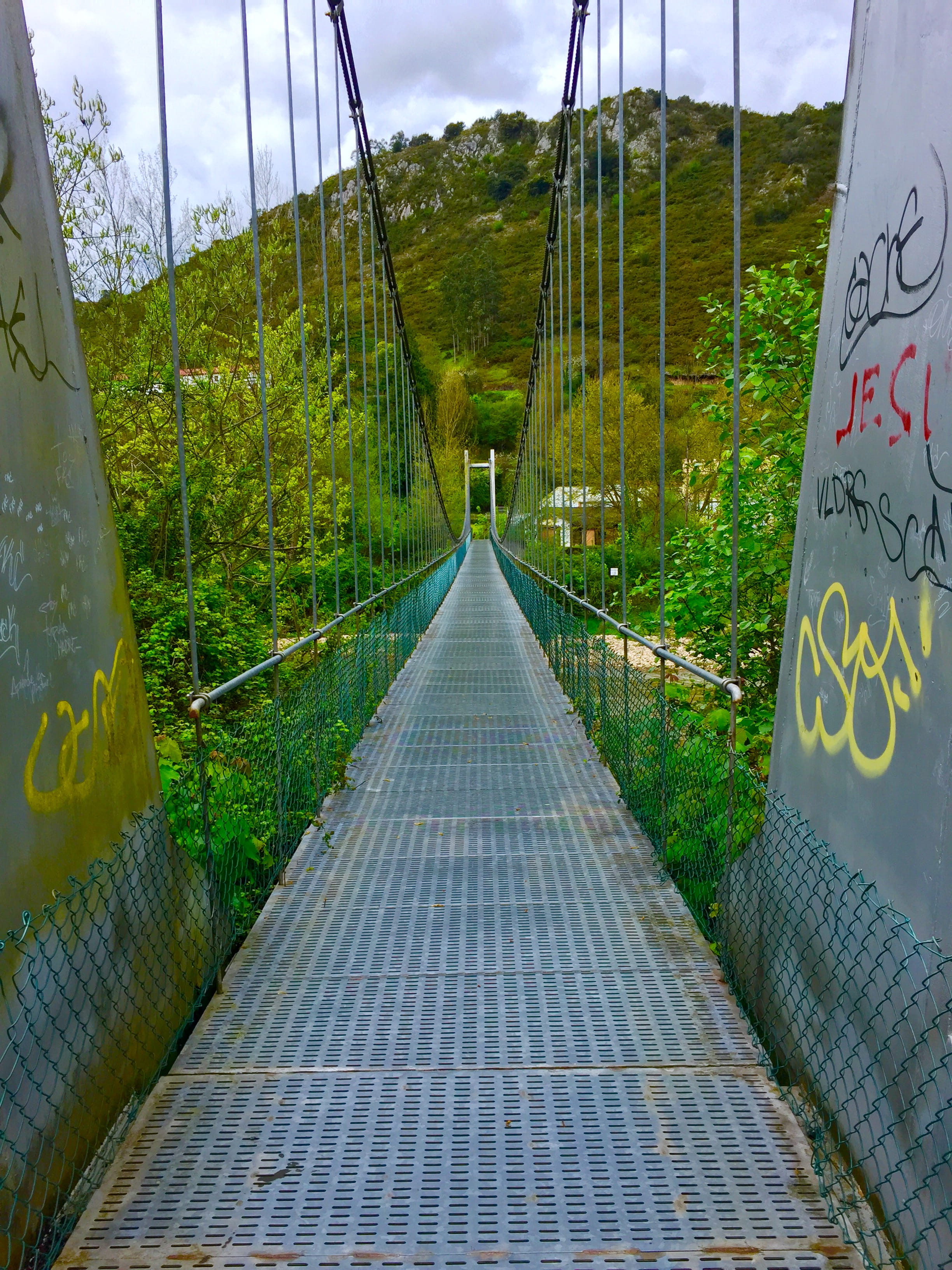 growth, tree, text, communication, oviedo, plant, diminishing perspective, bridge - man made structure, 2K, river, the way forward, las caldas, built structure, Phone HD Wallpaper