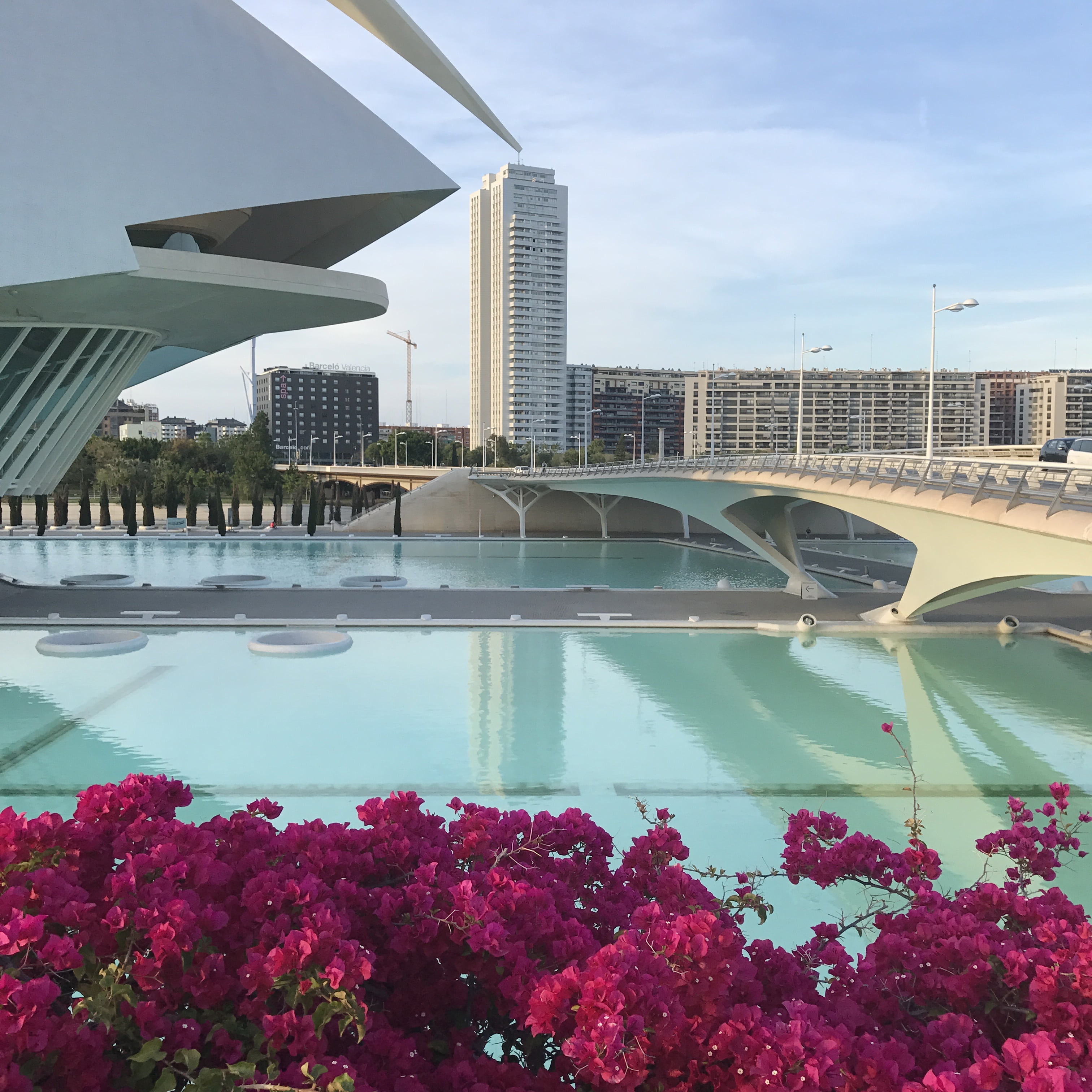 city, modern, flower, day, built structure, architecture, outdoors, flowering plant, sky, nature, swimming pool, building, calatrava, valencia, 2K, building exterior, Phone HD Wallpaper