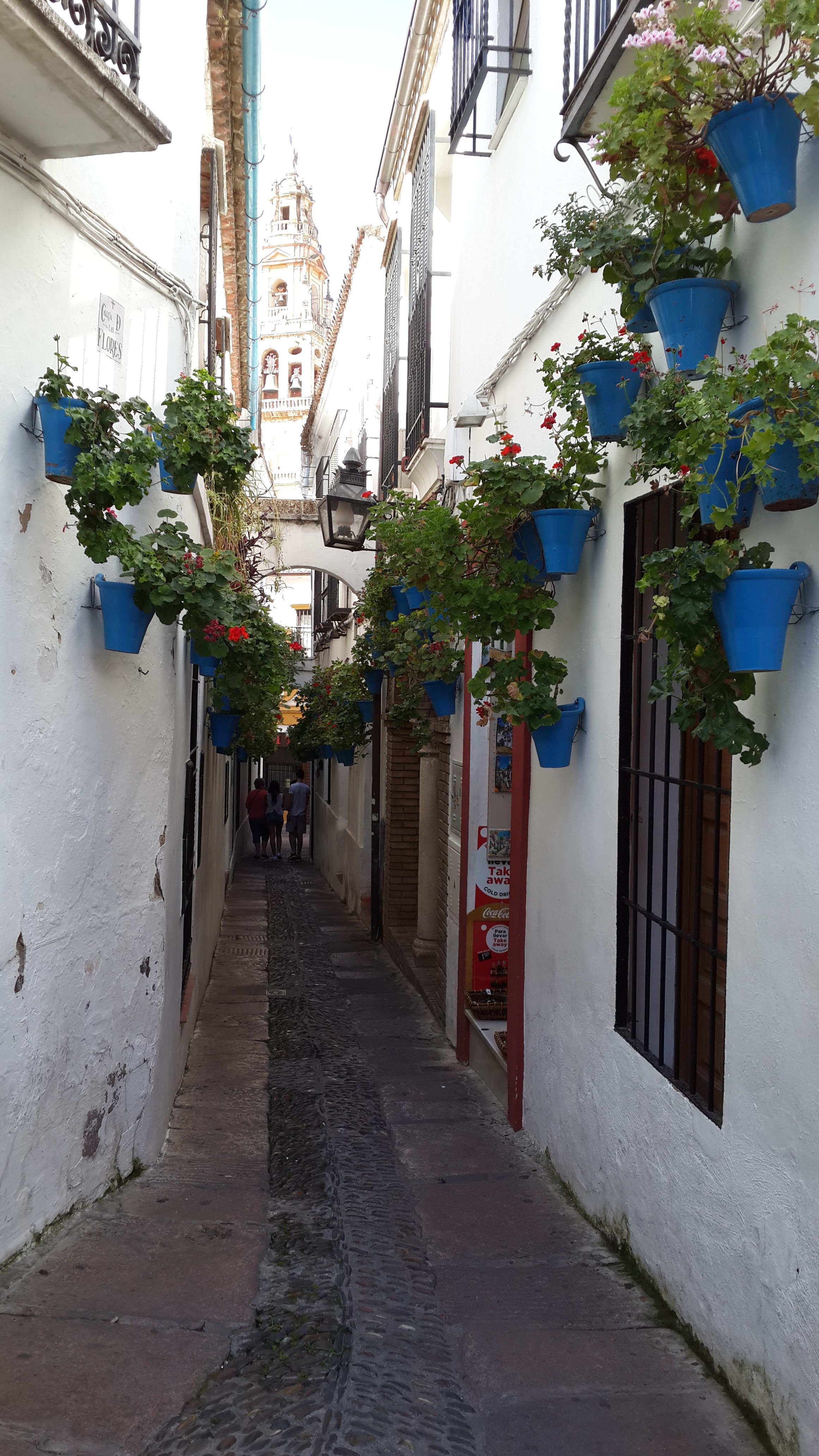 architecture, spain, house, nature, the way forward, building exterior, diminishing perspective, mijas, 4K, footpath, plant, residential district, incidental people, Phone HD Wallpaper