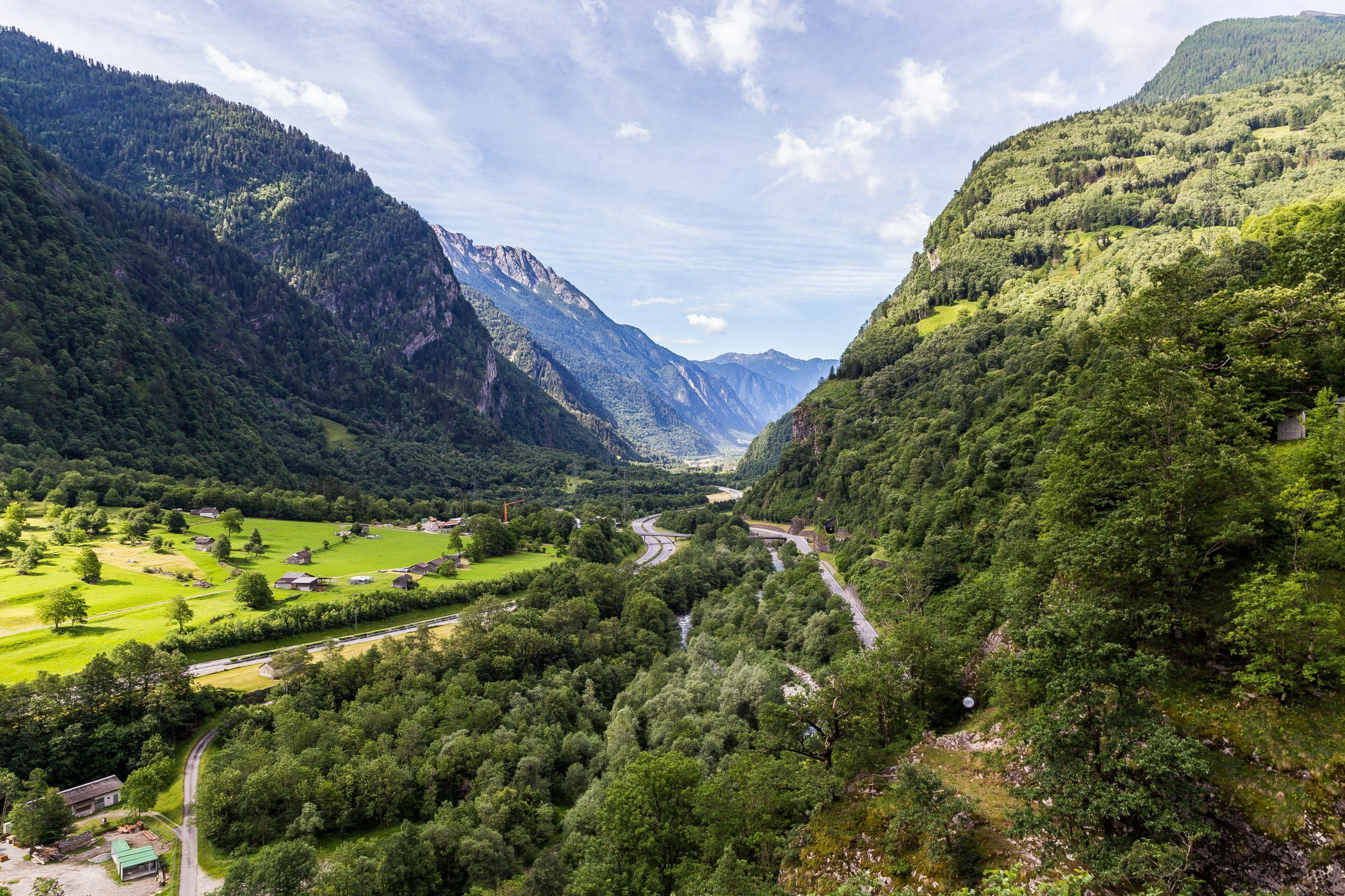 tranquil scene, no people, outdoors, misox, nature, day, growth, green color, graubünden, coniferous tree, idyllic, environment, scenics - nature, tranquility, HD Wallpaper