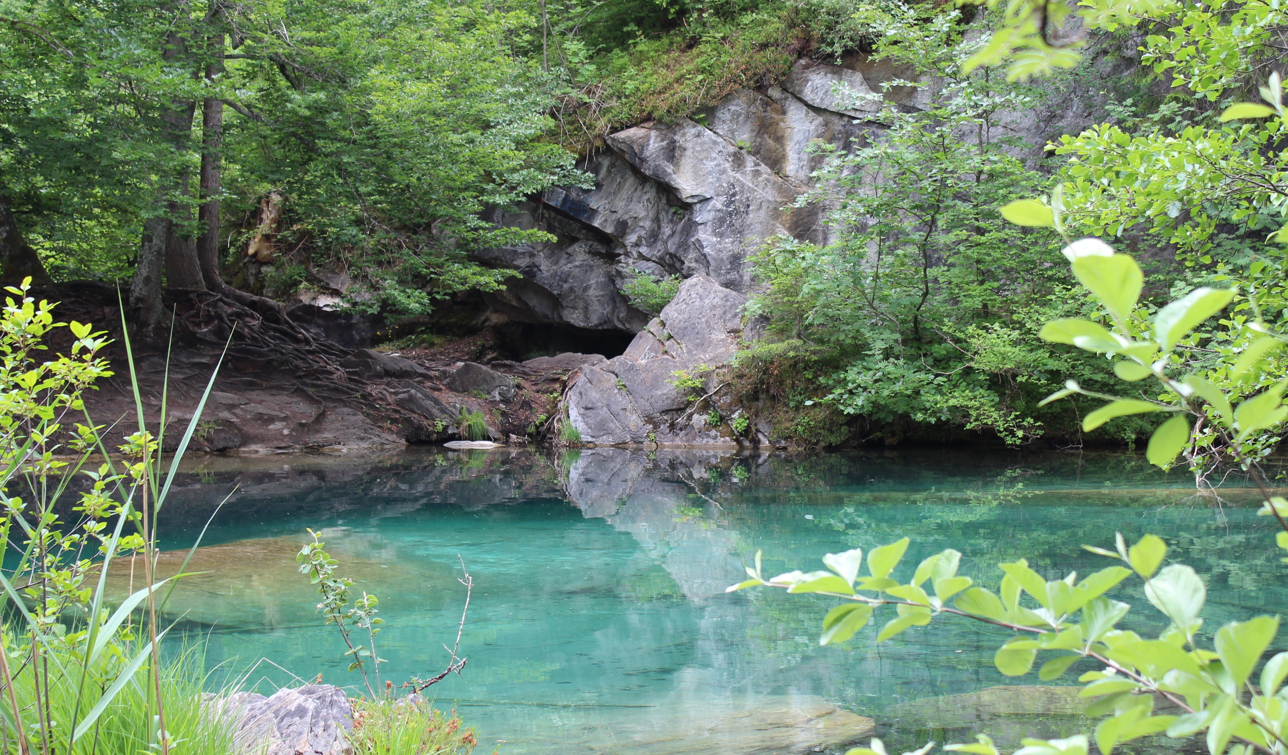 tree, nature, growth, beauty in nature, no people, solid, green, forest, plant, water, rock - object, 4K, waterfront, graubünden, rock, green color, tranquil scene, HD Wallpaper