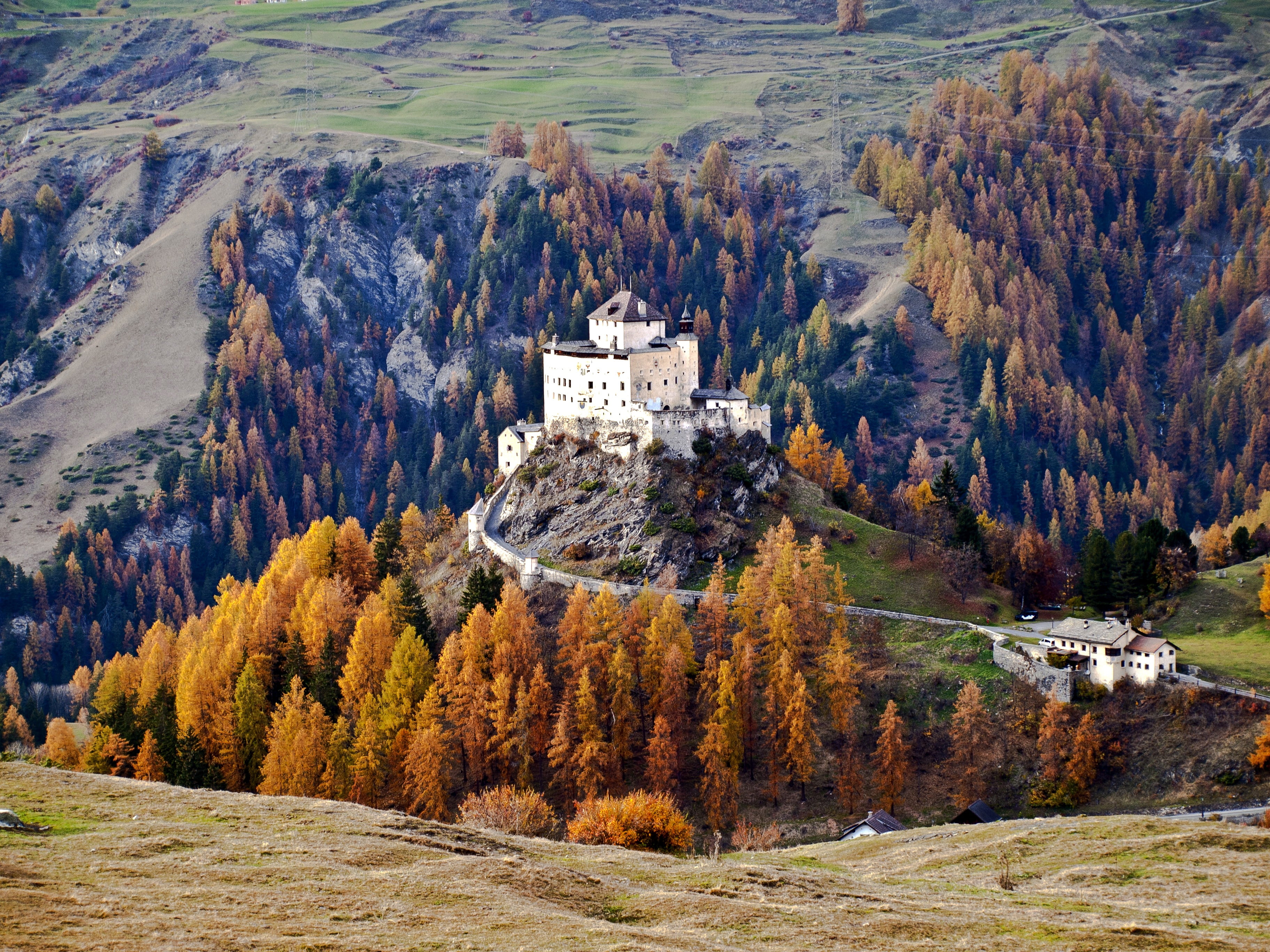 building exterior, green color, outdoors, forest, no people, architecture, autumn, switzerland, landscape, tranquility, concrete, land, europe, lower engadin, HD Wallpaper
