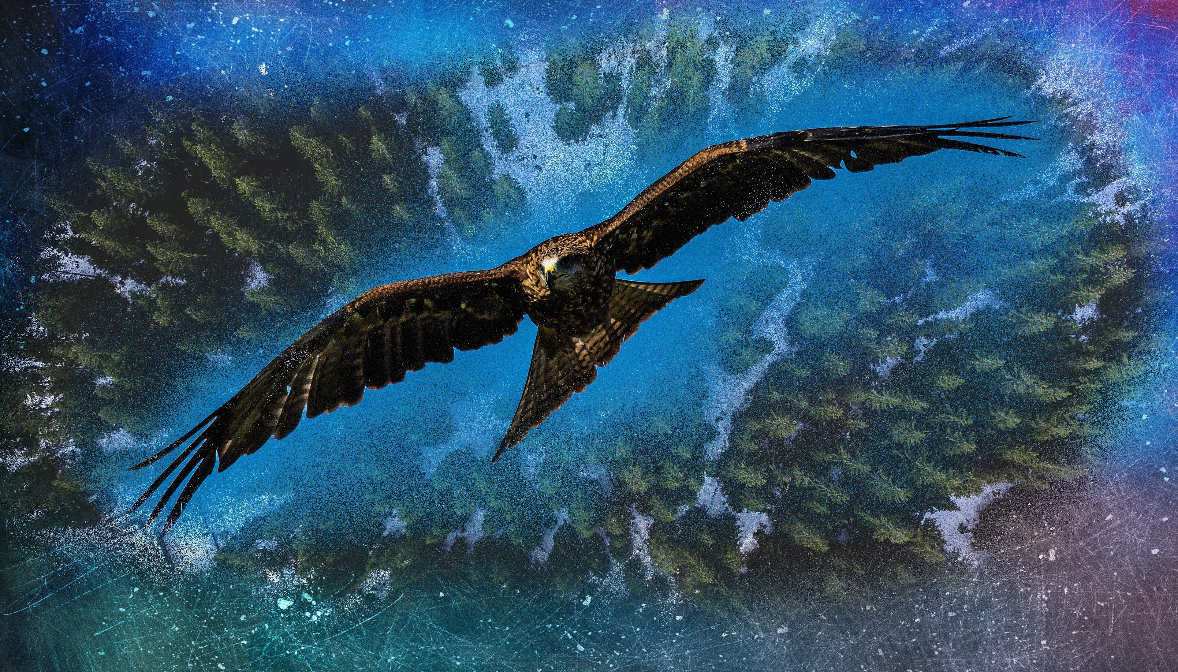 water, sea life, height, outdoors, flying, spread wings, power, nature, scree, bird, sea, underwater, brown, undersea, swimming, digital, one animal, HD Wallpaper