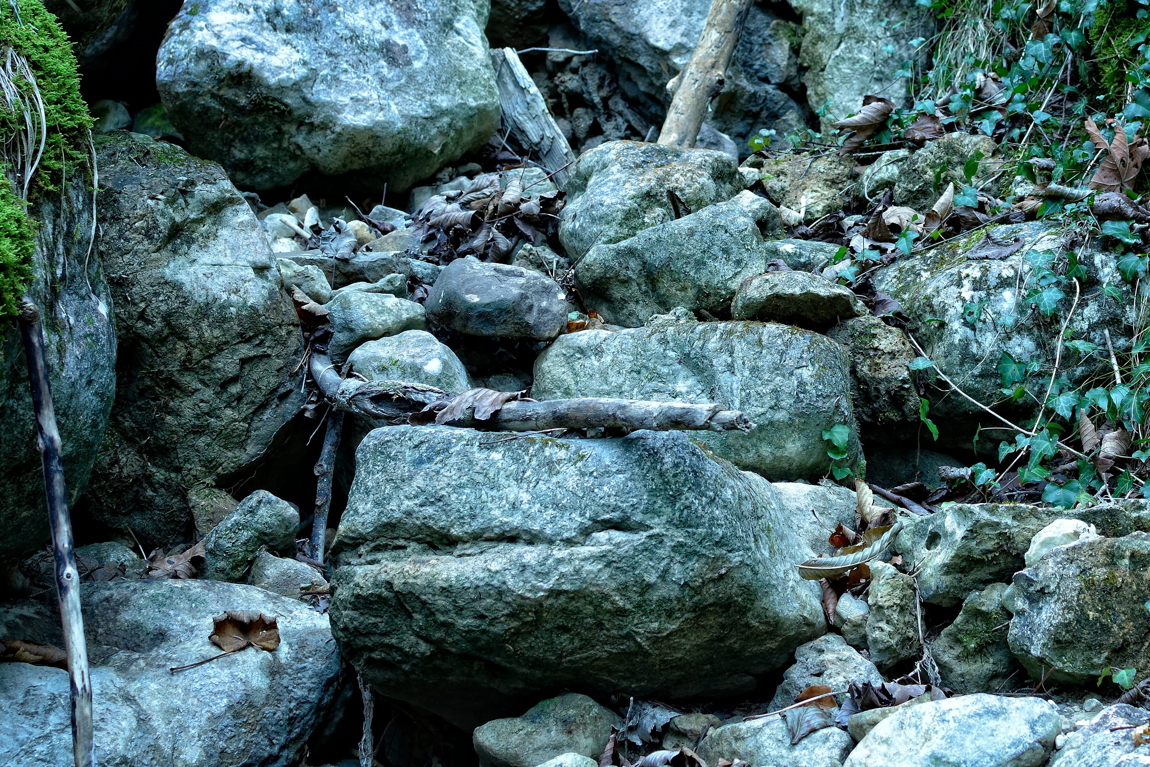 eroded, ground, outdoors, steinig, water, day, grey, stack, underground, bach, tranquility, no people, river, tree, stone, stones, solid, forest, rock, HD Wallpaper