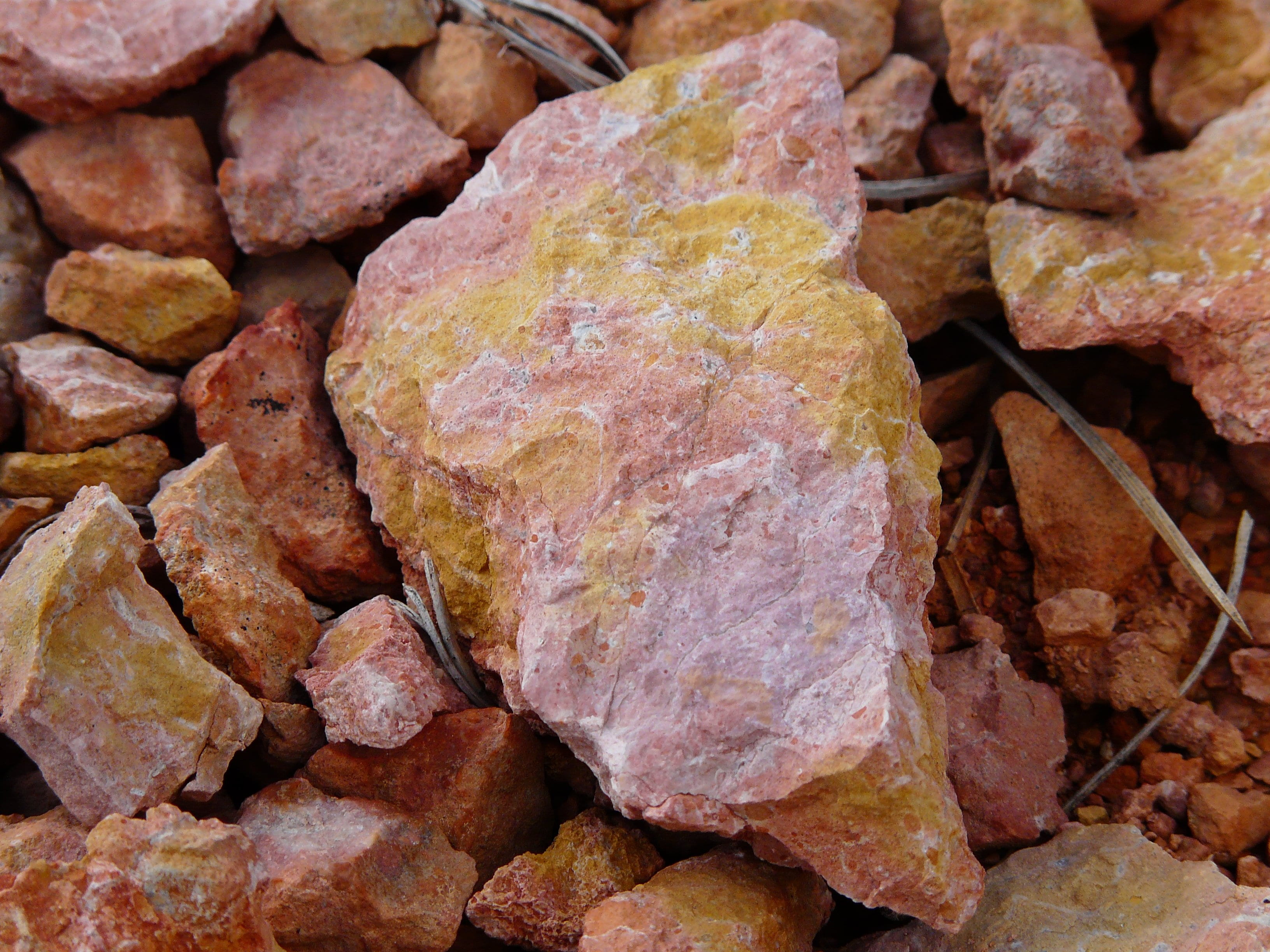 outdoors, pebble, no people, stone - object, freshness, plant part, colorful, day, solid, leaf, high angle view, color, still life, full frame, brown, red, HD Wallpaper