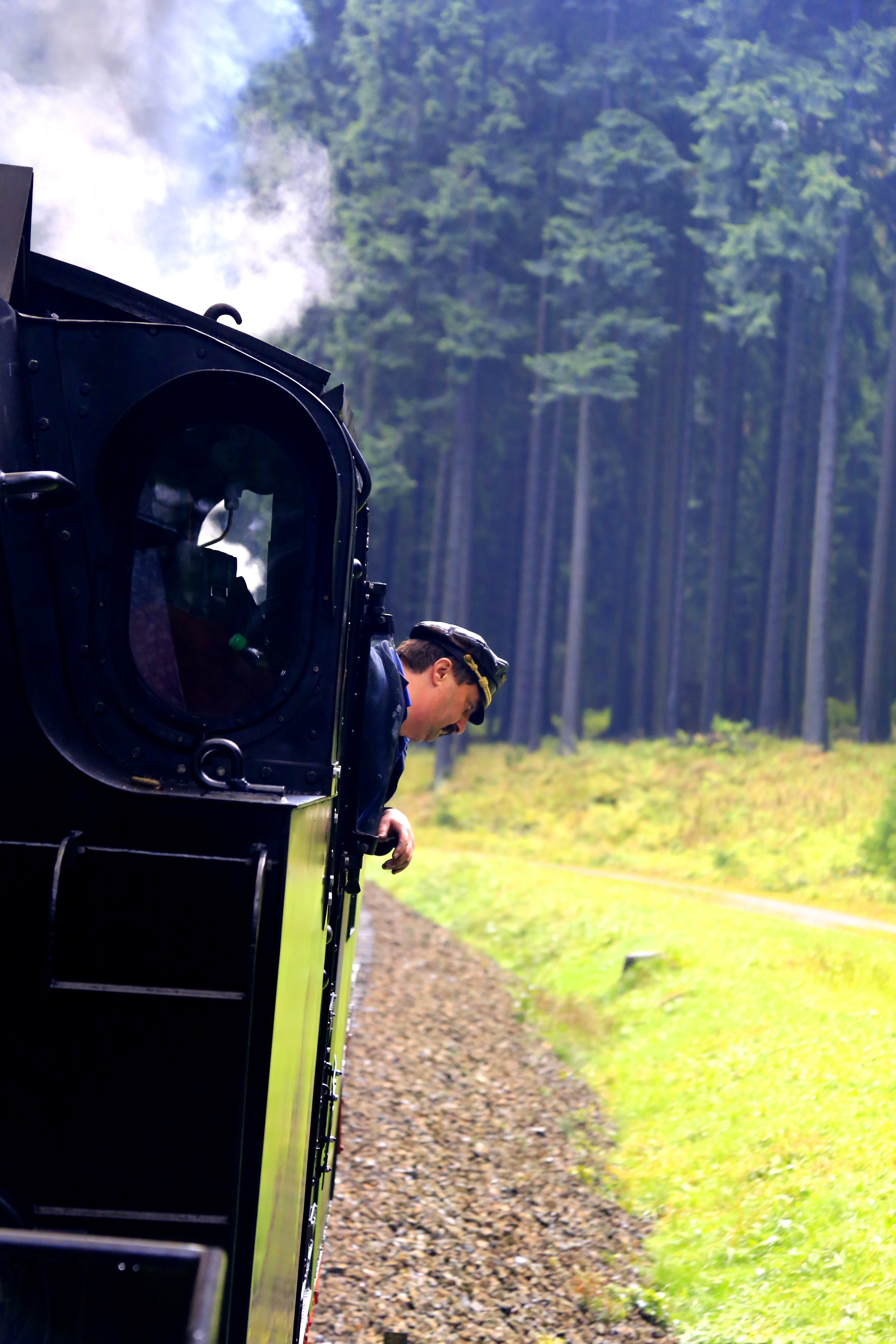 real people, men, nature, narrow-gauge railway, chemnitz, lifestyles, camera - photographic equipment, locomotive, old train, photography themes, plant, Phone HD Wallpaper