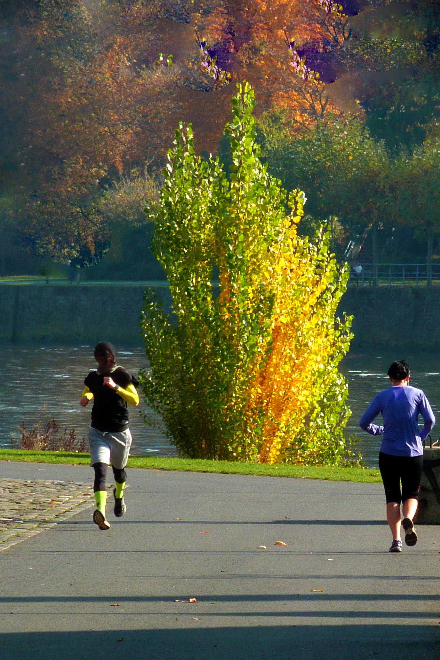 summer, motion, outdoors, change, lifestyles, 1080P, tree, two people, walk, nature, run, movement, autumn, plant, rear view, continuous operation, go, Phone HD Wallpaper