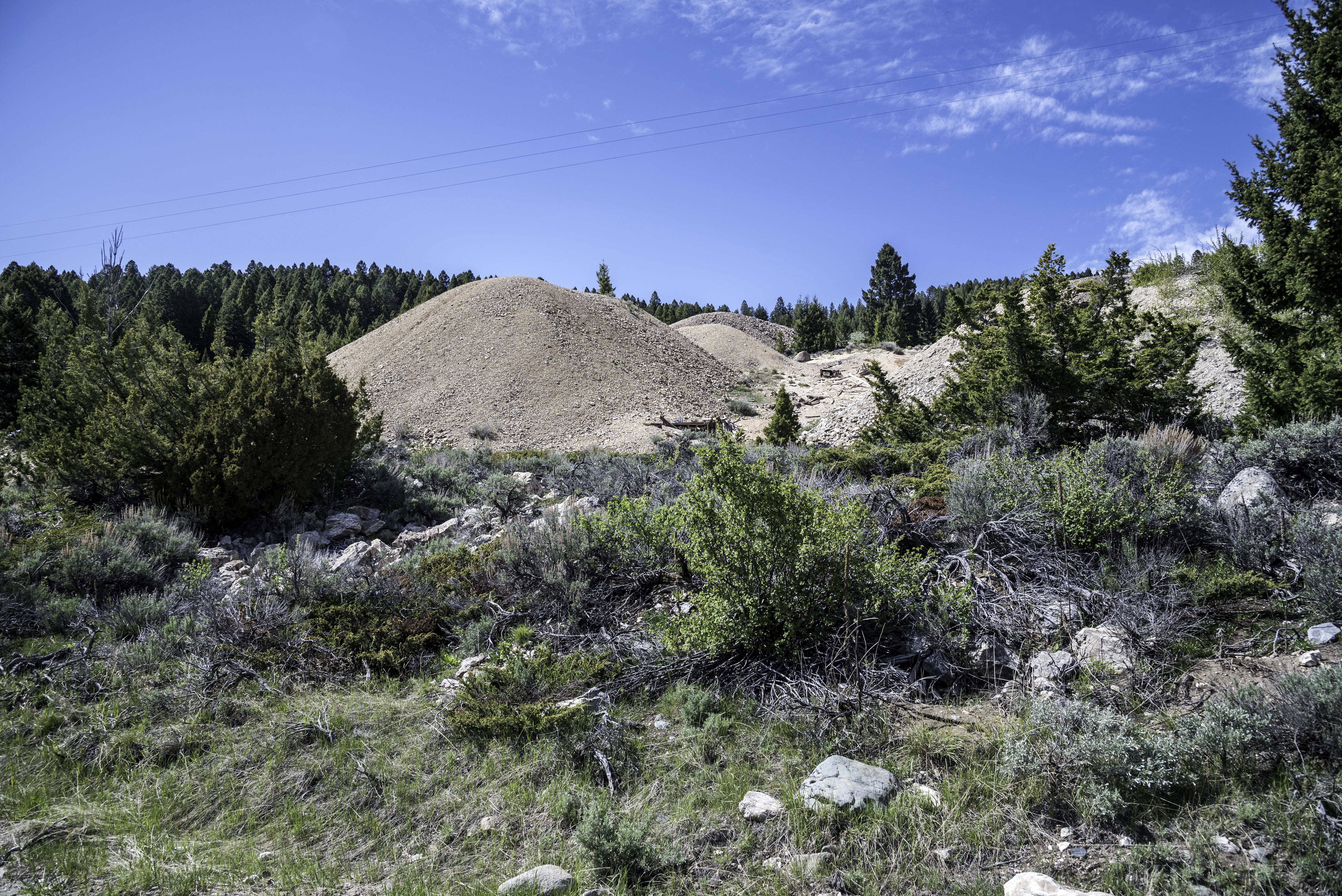 mountain, non-urban scene, Operation, beauty in nature, environment, growth, Elkhorn, rock - Object, no People, solid, day, coniferous tree, tranquil scene, HD Wallpaper