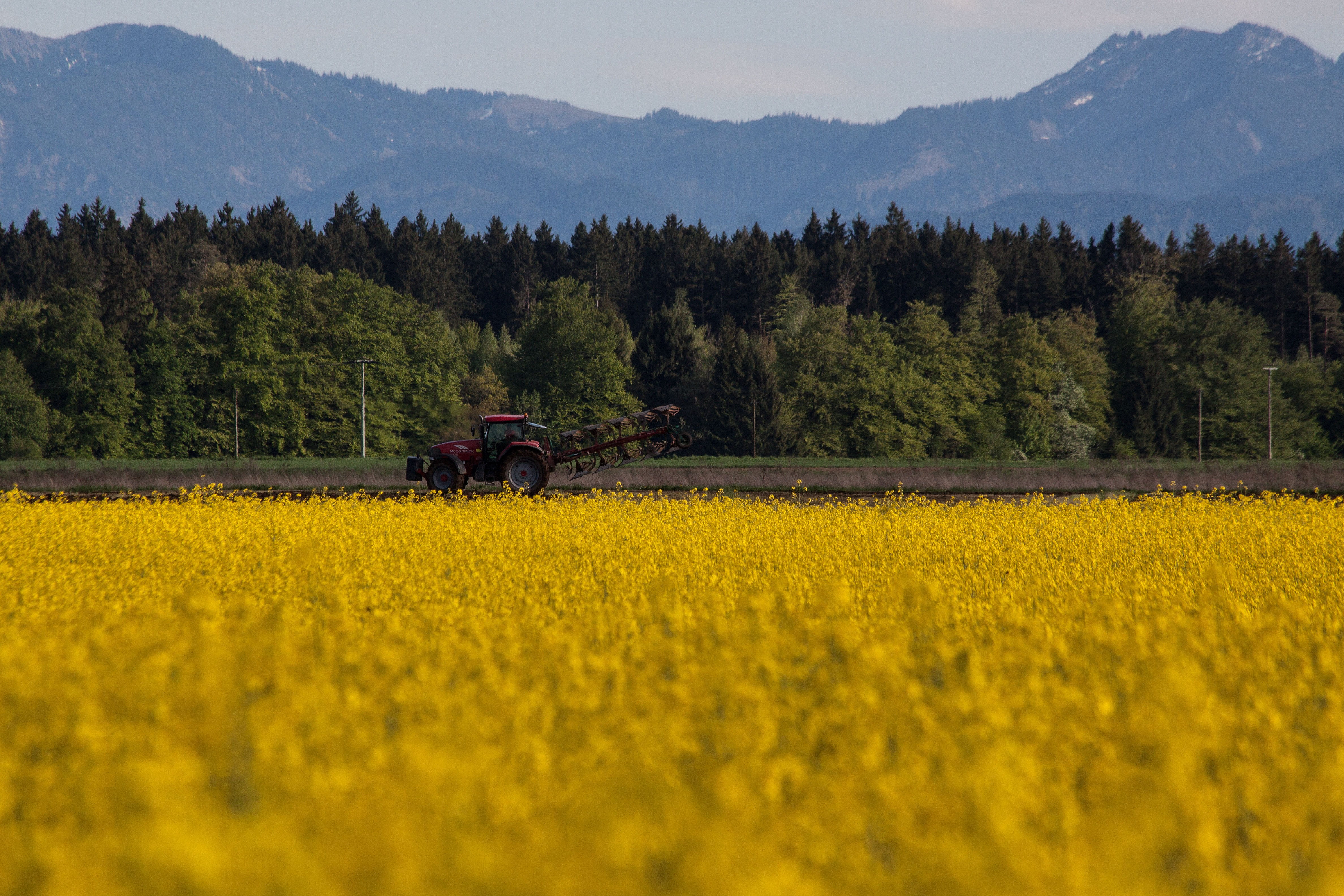 landscape, agricultural operation, Agricultural, cultivation, arable, plant, industry, yellow, summer, non-Urban Scene, nature, harvest, beauty in nature, HD Wallpaper