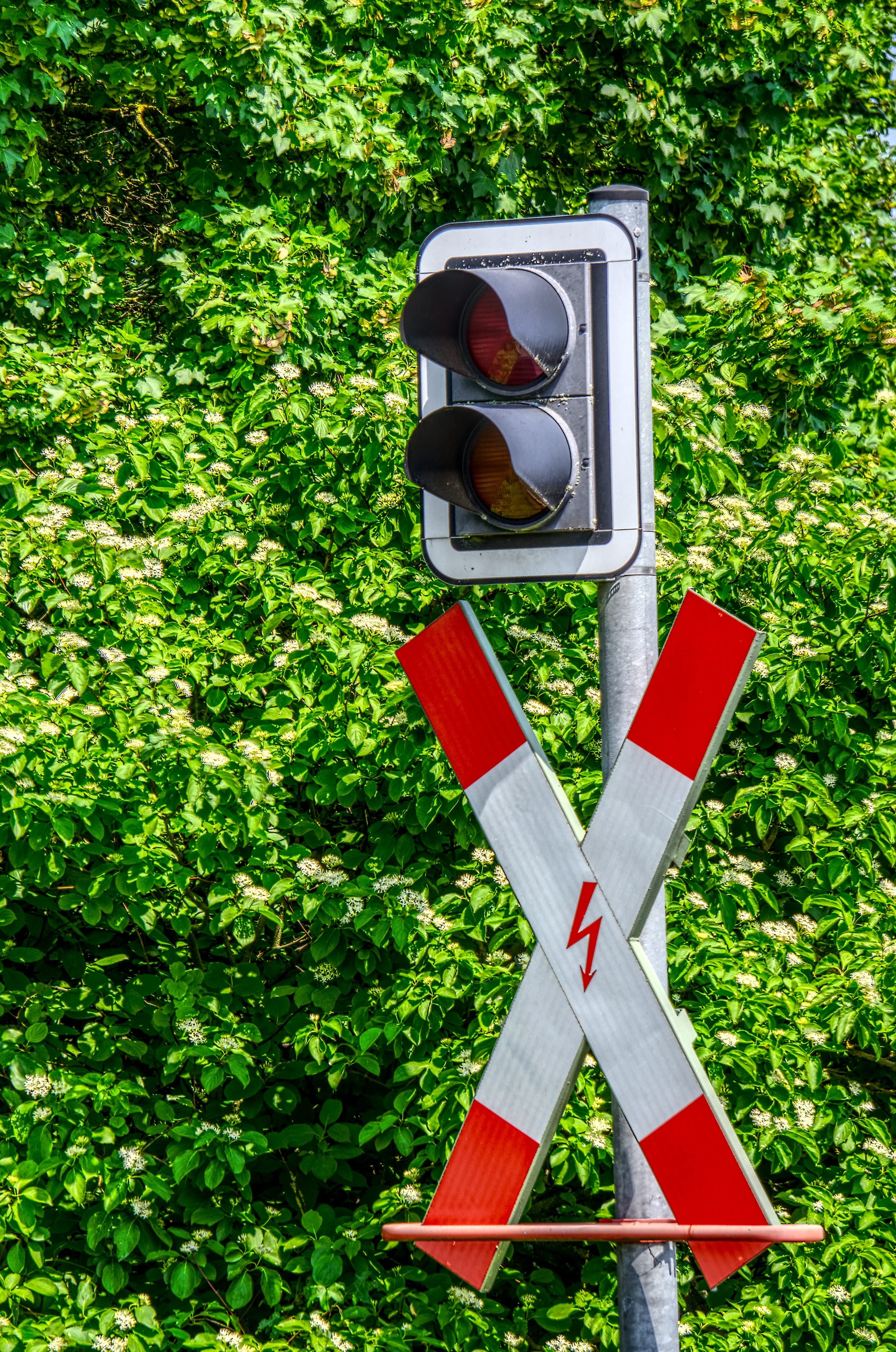 traffic signal, high dynamic range, road, no people, traffic, grass, green color, traffic lights, tree, obscured face, technology, light signal, 4K, growth, Phone HD Wallpaper
