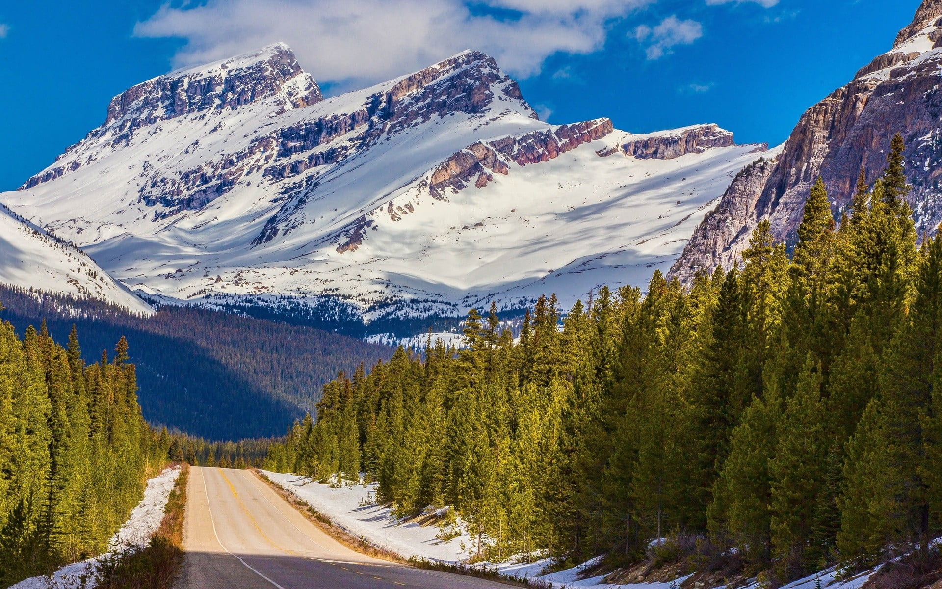 plant, mountain, snow, tranquil scene, tranquility, 1080P, winter, mountain peak, road, environment, scenics - nature, mountain range, tree, pine woodland, HD Wallpaper