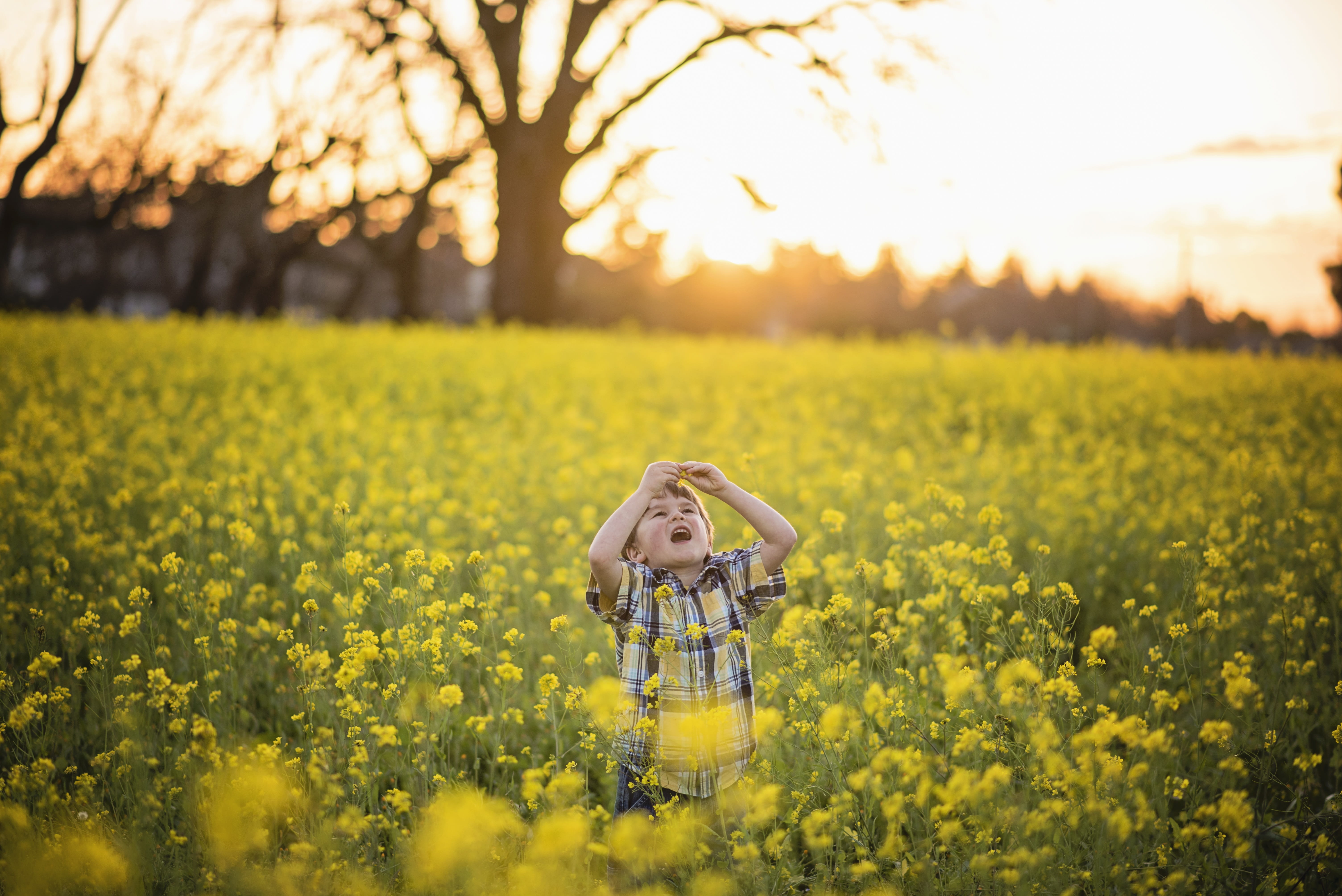 yellow, girls, childhood, Flower, portrait, rural scene, child, front view, beauty in nature, hair, offspring, one girl only, bright, Yellow, blossom, Mustard, HD Wallpaper