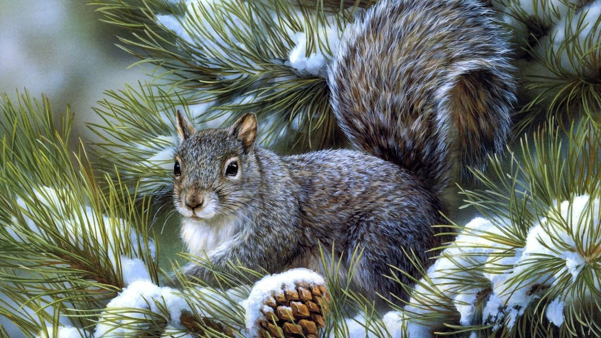 pine cone, 1080P, day, pine tree, nature, mammal, whisker, plant, fur, nut - Food, animal themes, cute, close-up, art, branch, animal, wildlife, fluffy, HD Wallpaper