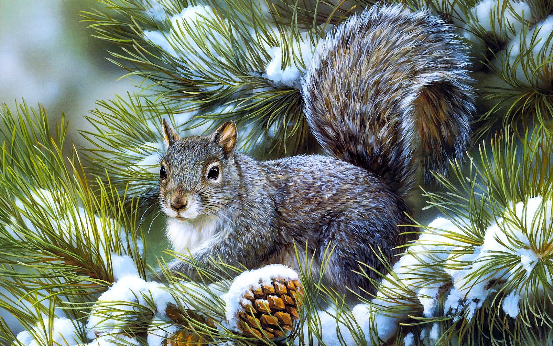 art, Trees, seasons, face, artistic, wildlife, whiskers, branch, fir, nature, Limb, rodents, winter, animals, pine, squirrels, snow, eyes, 1080P, HD Wallpaper