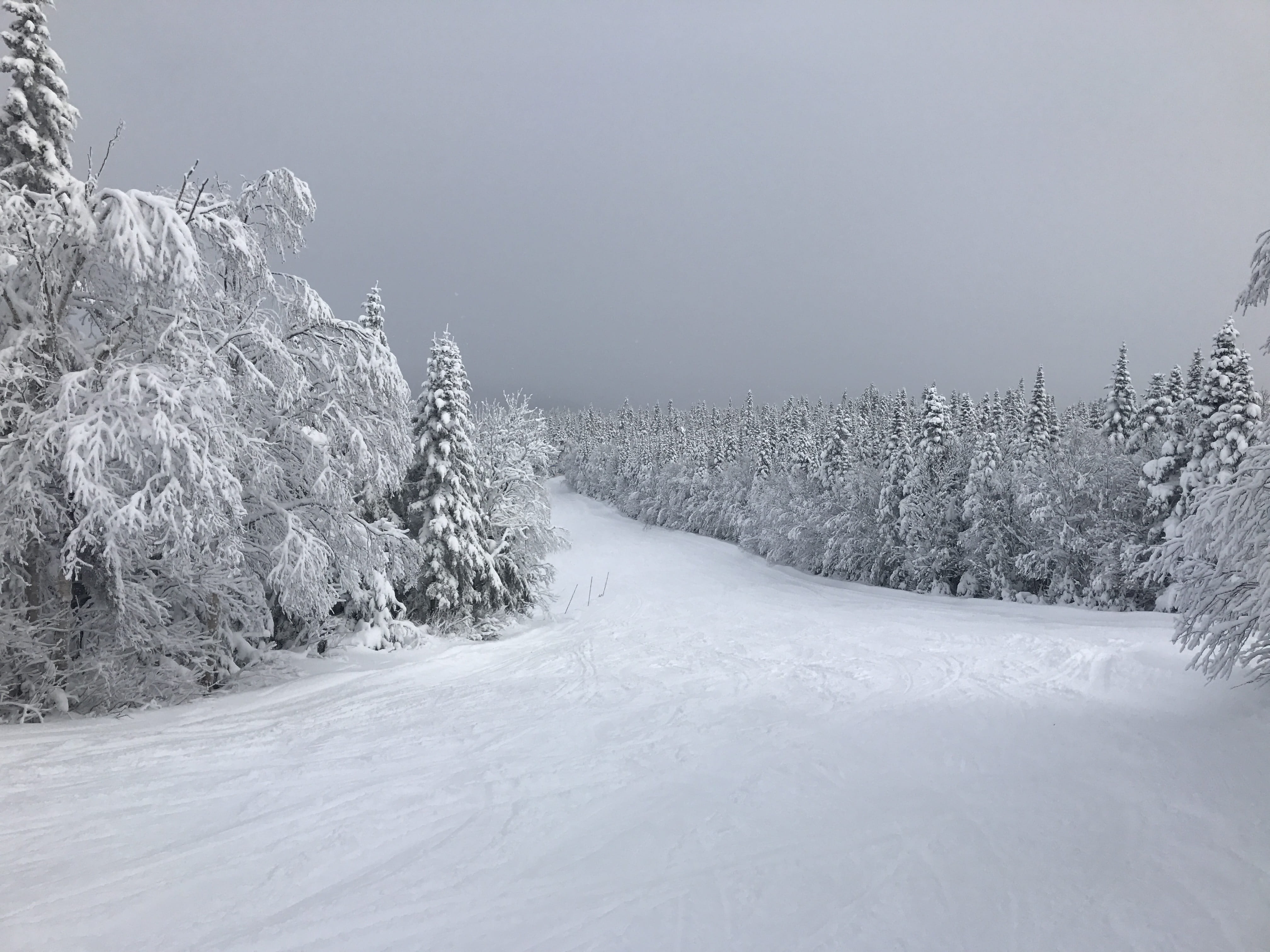 beauty in nature, summit, tranquil scene, clouds, land, snowy, tree, coniferous tree, scenics - nature, pine tree, plant, trees, tranquility, landscape, HD Wallpaper