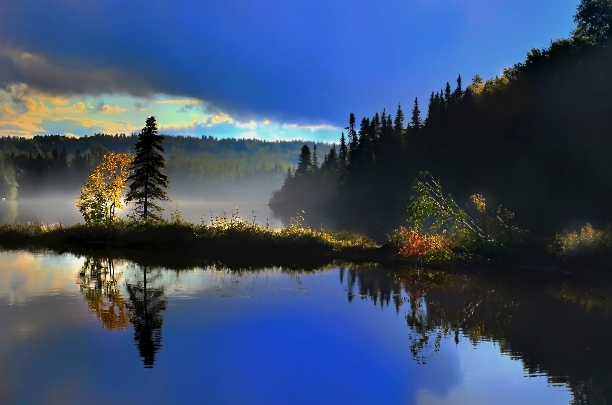 forest, growth, trees, scenics, surrounded, tree, nature, body, morning, landscape, no People, non-urban scene, québec, summer, body of water, contrast, HD Wallpaper