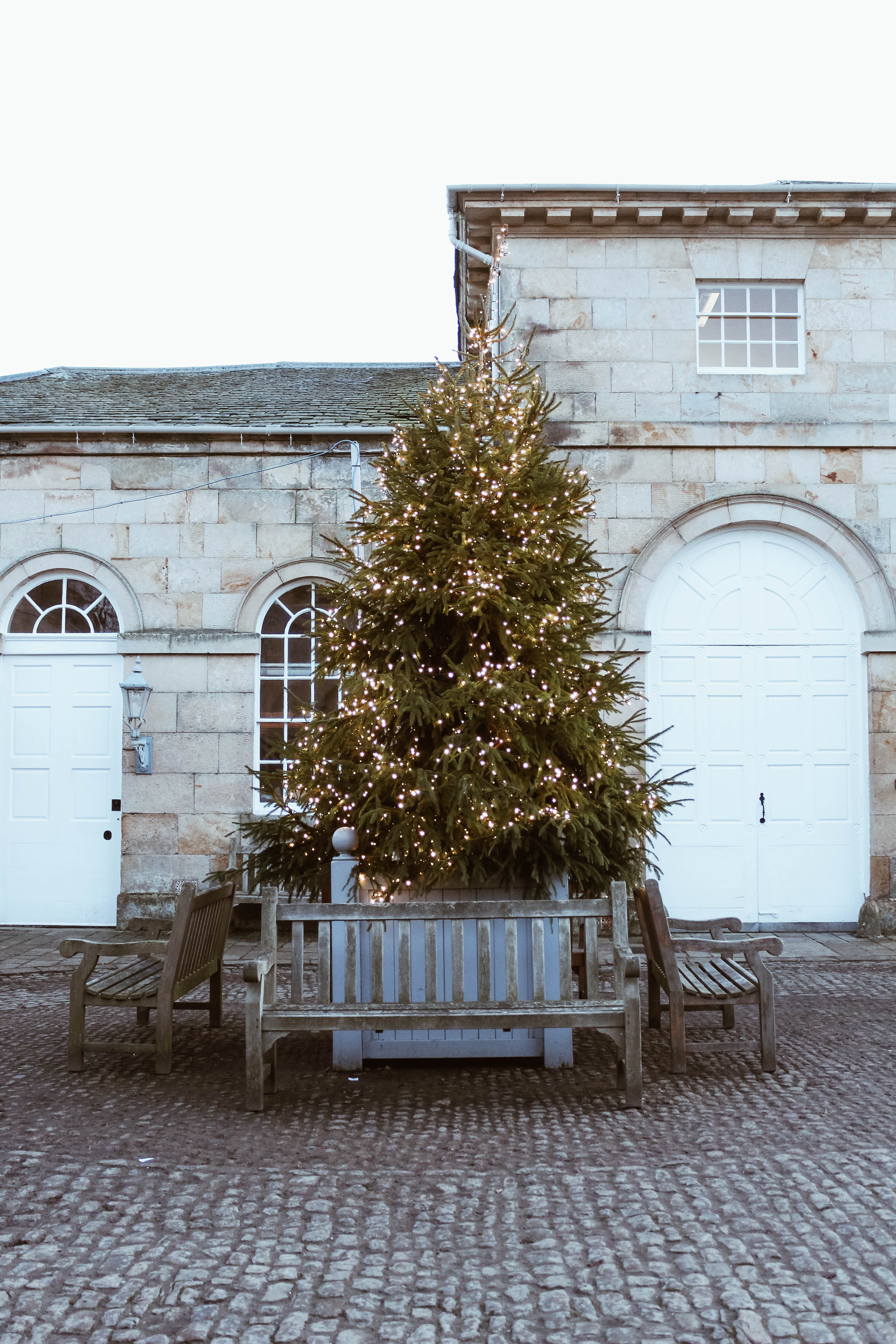 street, seat, architecture, 5K, plant, paving stone, day, bench, clear sky, cobblestone, chair, united kingdom, christmas lights, seasonal, travel, christmas tree, Phone HD Wallpaper