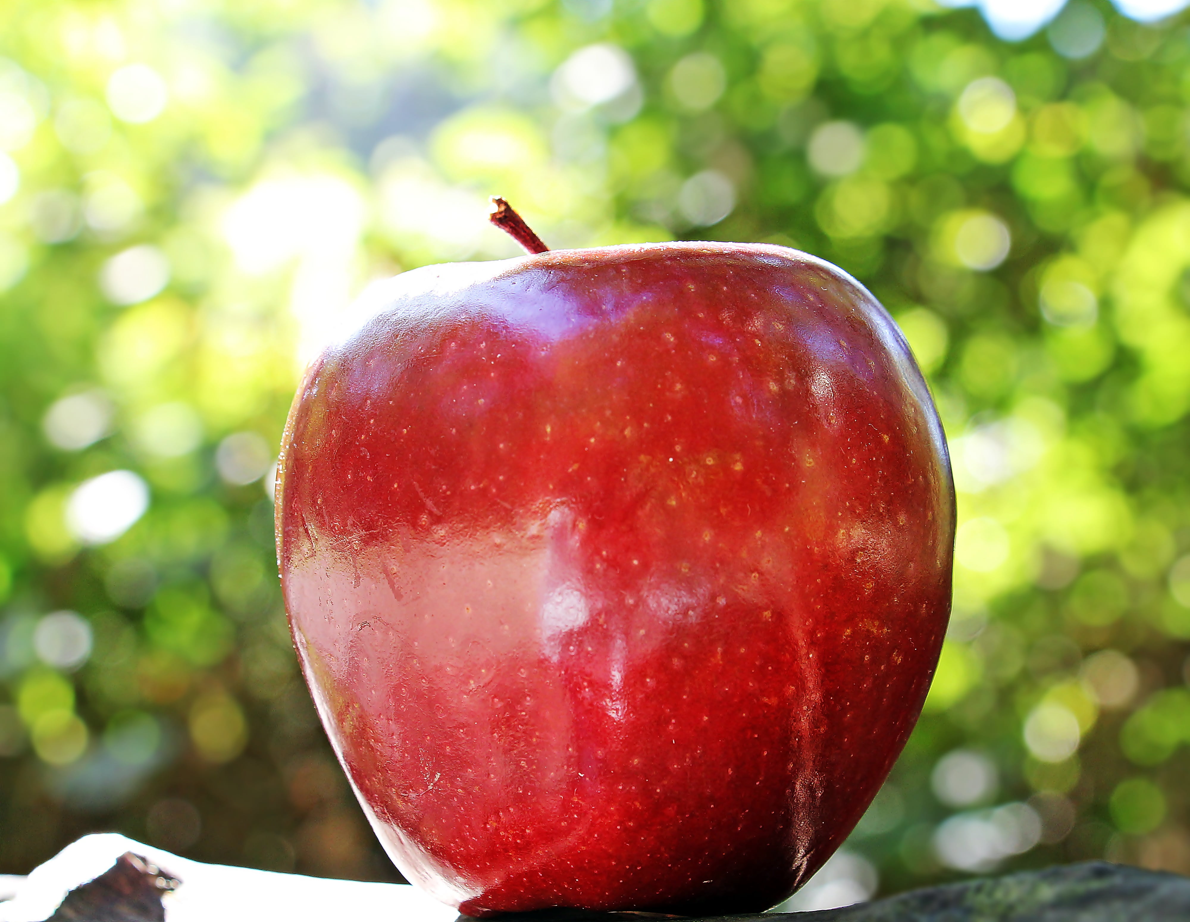 red chief, photo, snow white, healthy eating, sweet, close-up, bless you, vitamins, red apple, coloring group a, fruity, ripe, red, pome fruit, green color, HD Wallpaper