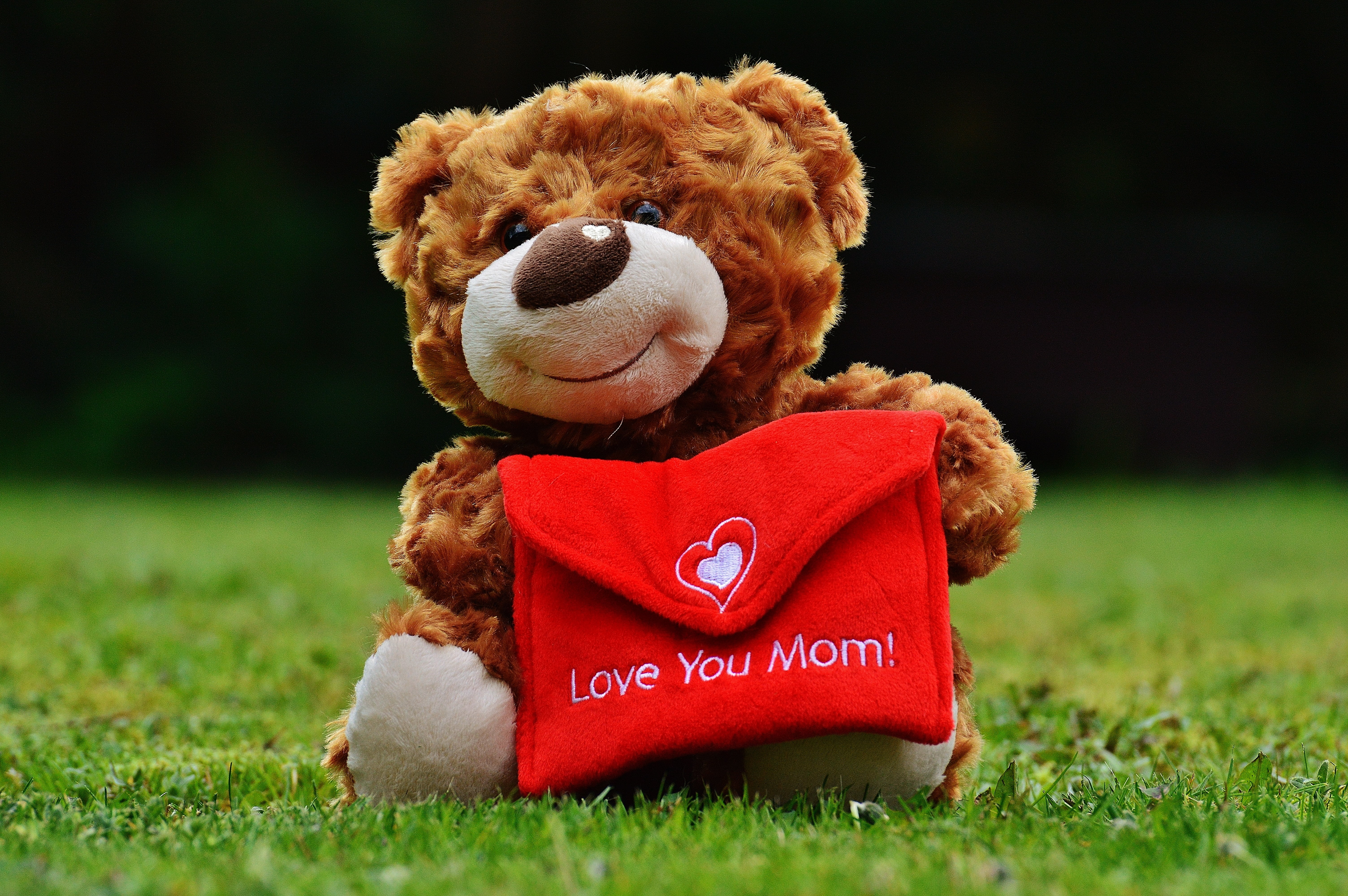 nature, plant, soft toy, childhood, connectedness, stuffed toy, teddy, mothers day, mail, welcome, red, thank you, brown, toy, teddy Bear, greeting, luck, HD Wallpaper