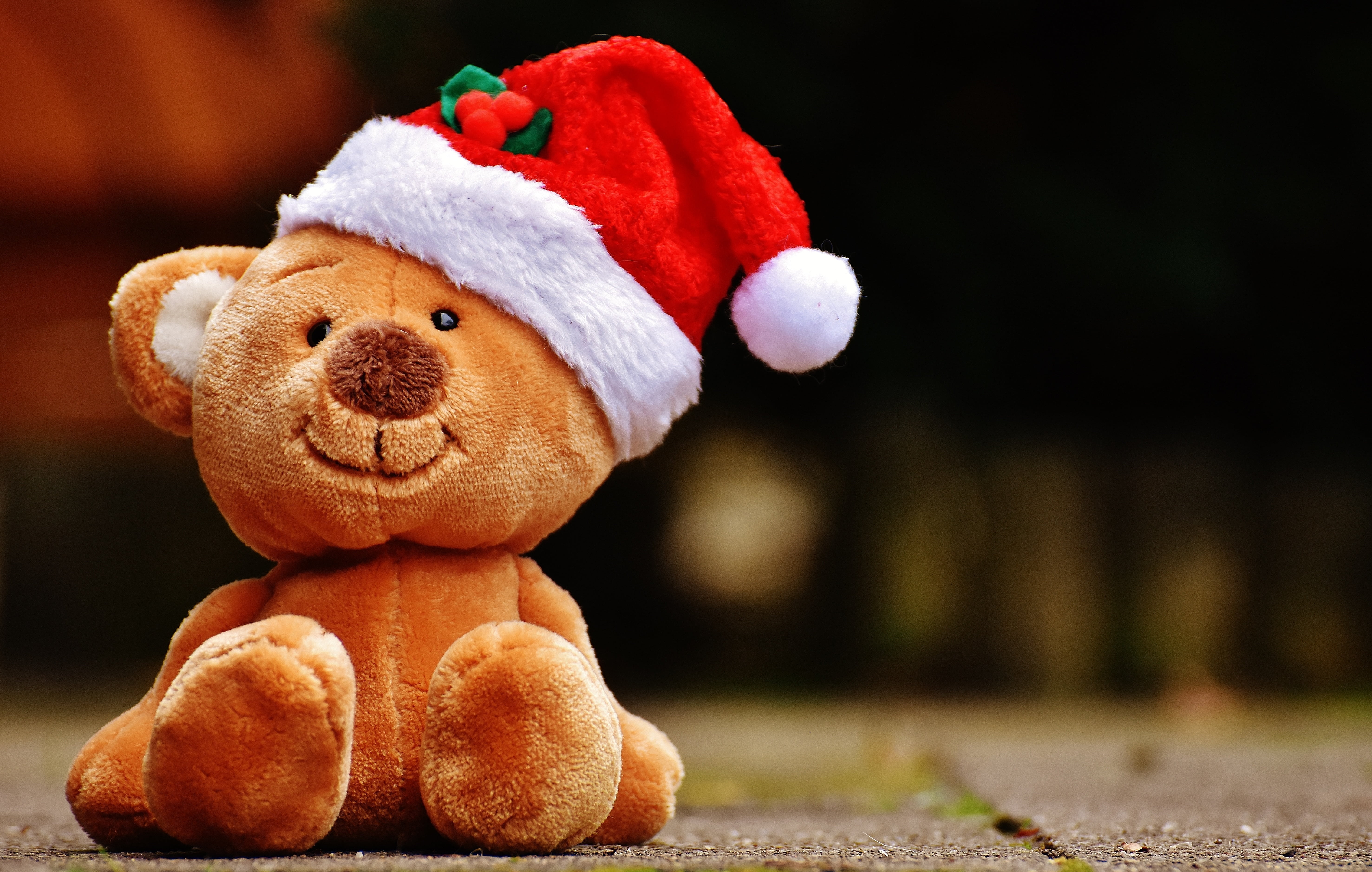 plush, celebration, red, softness, decoration, christmas, focus on foreground, creativity, bear, hat, representation, brown, christmas decoration, santa hat, HD Wallpaper