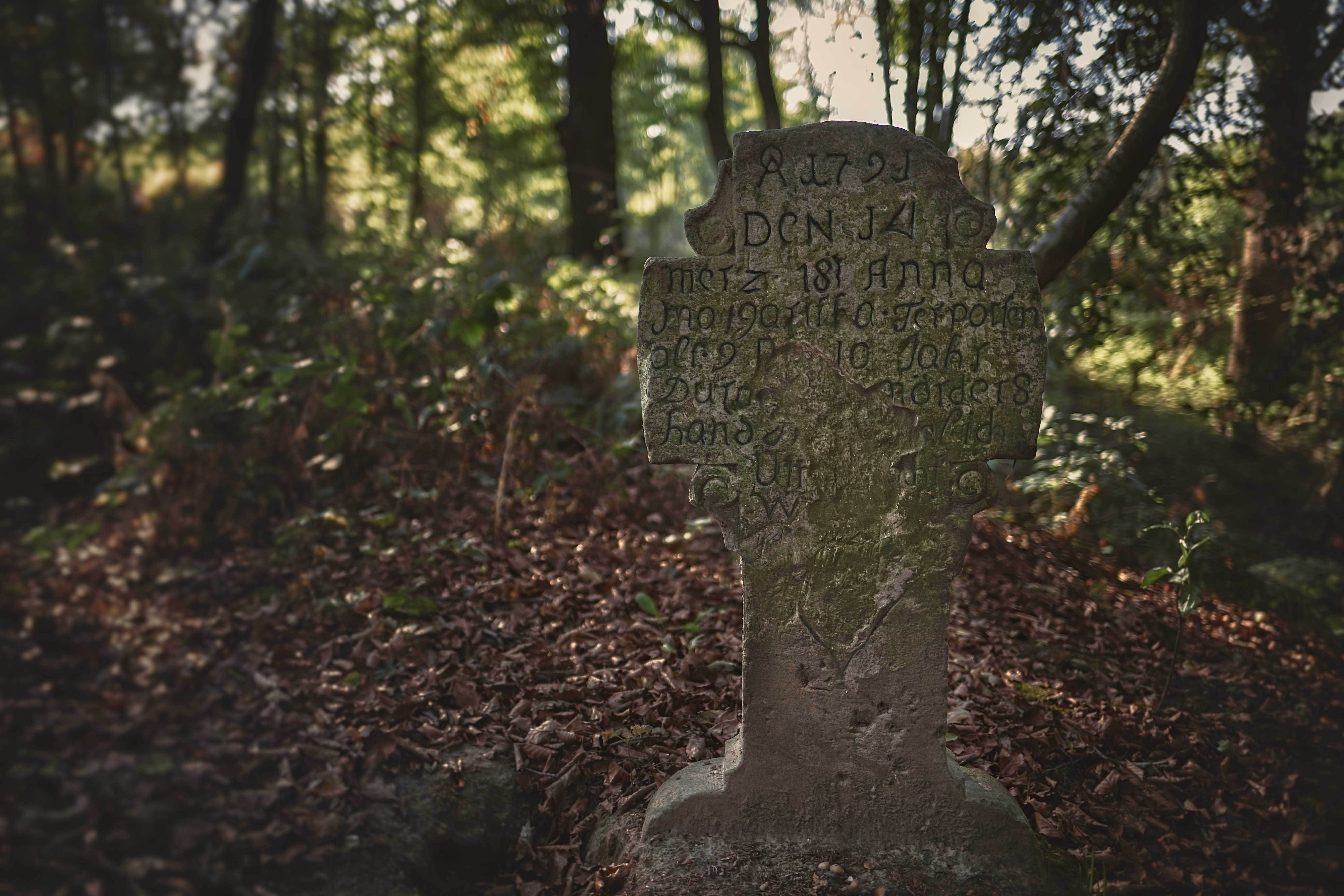 cross, old, cemetery, history, plant, no people, tombstone, tree trunk, 5K, 18th century, focus on foreground, land, tree, forest, religion, day, antique, HD Wallpaper