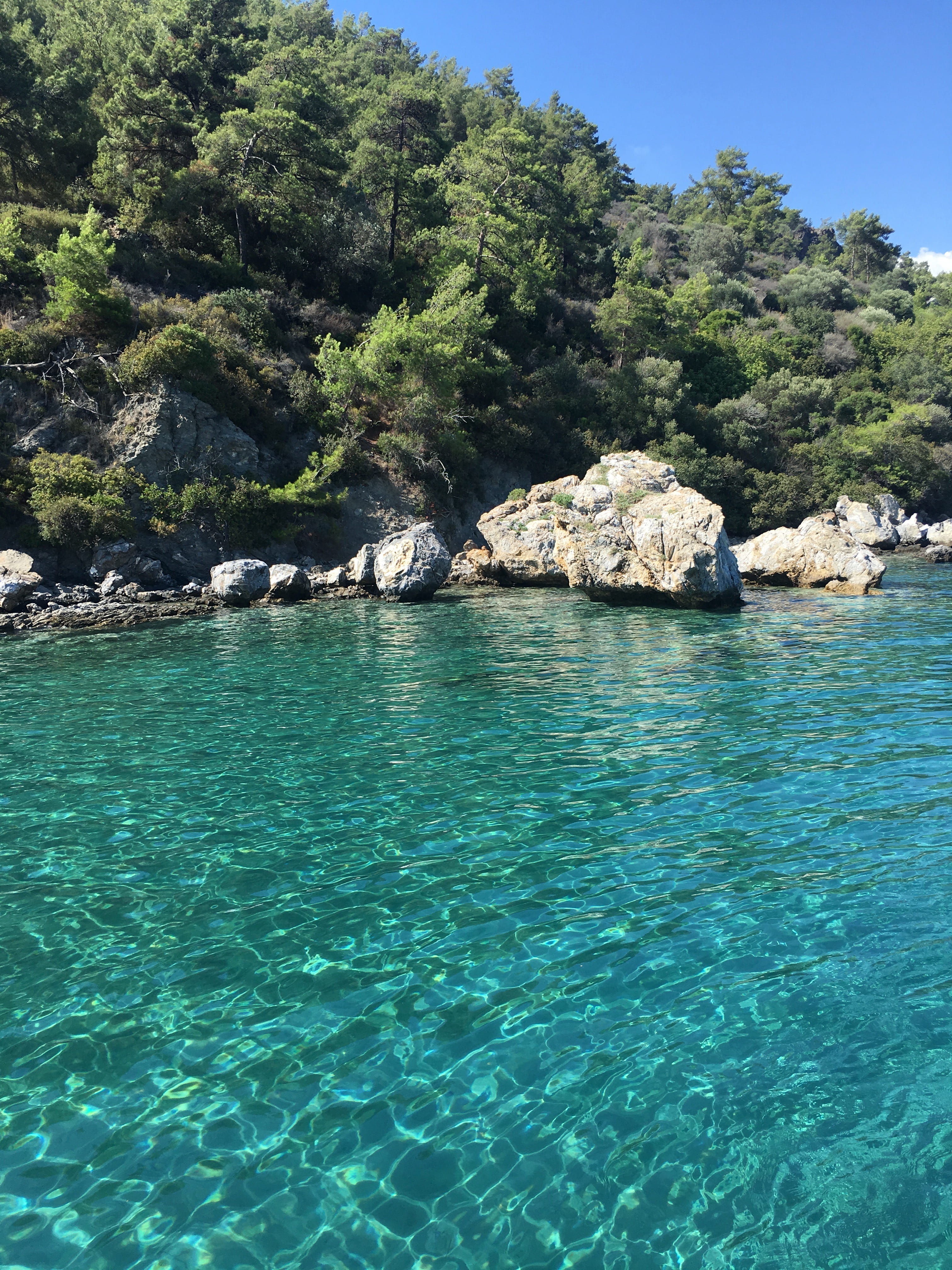 plant, green, beauty in nature, blue, tree, turquoise colored, 4K, outdoors, solid, turkey, clean, marmaris, purity, rock - object, view, no people, scenics - nature, Phone HD Wallpaper