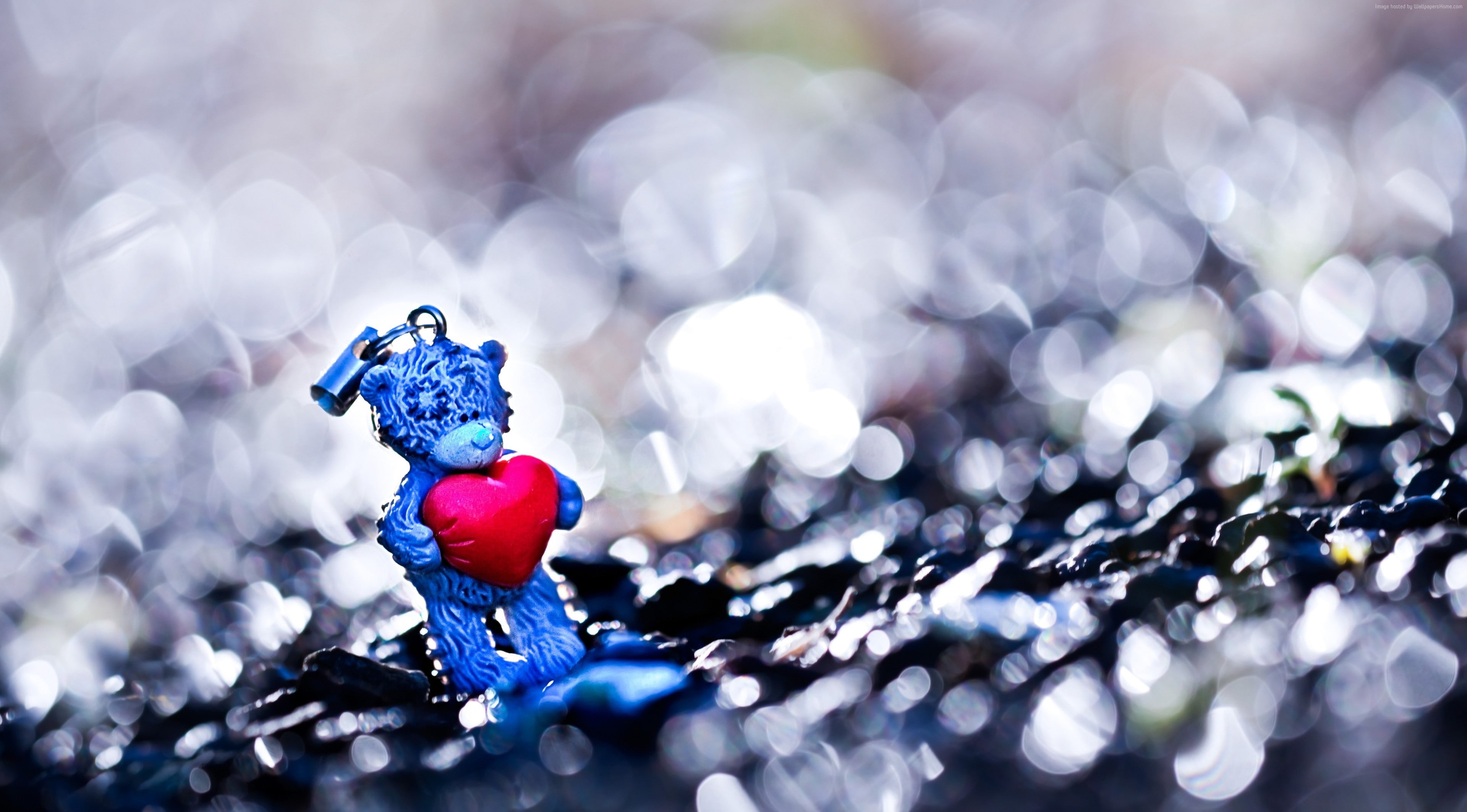 holiday, February 14, gift, bokeh, 4K, Bear, Valentines Day, love, heart, HD Wallpaper