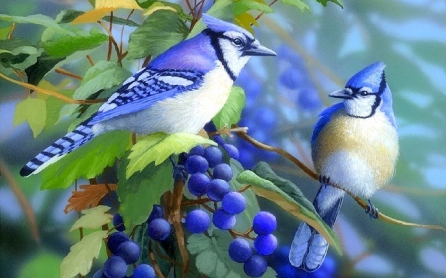 Grapes, Painting, Artistic, Birds, Branch, Vine, Bird, 720P, Blue Jay, HD Wallpaper