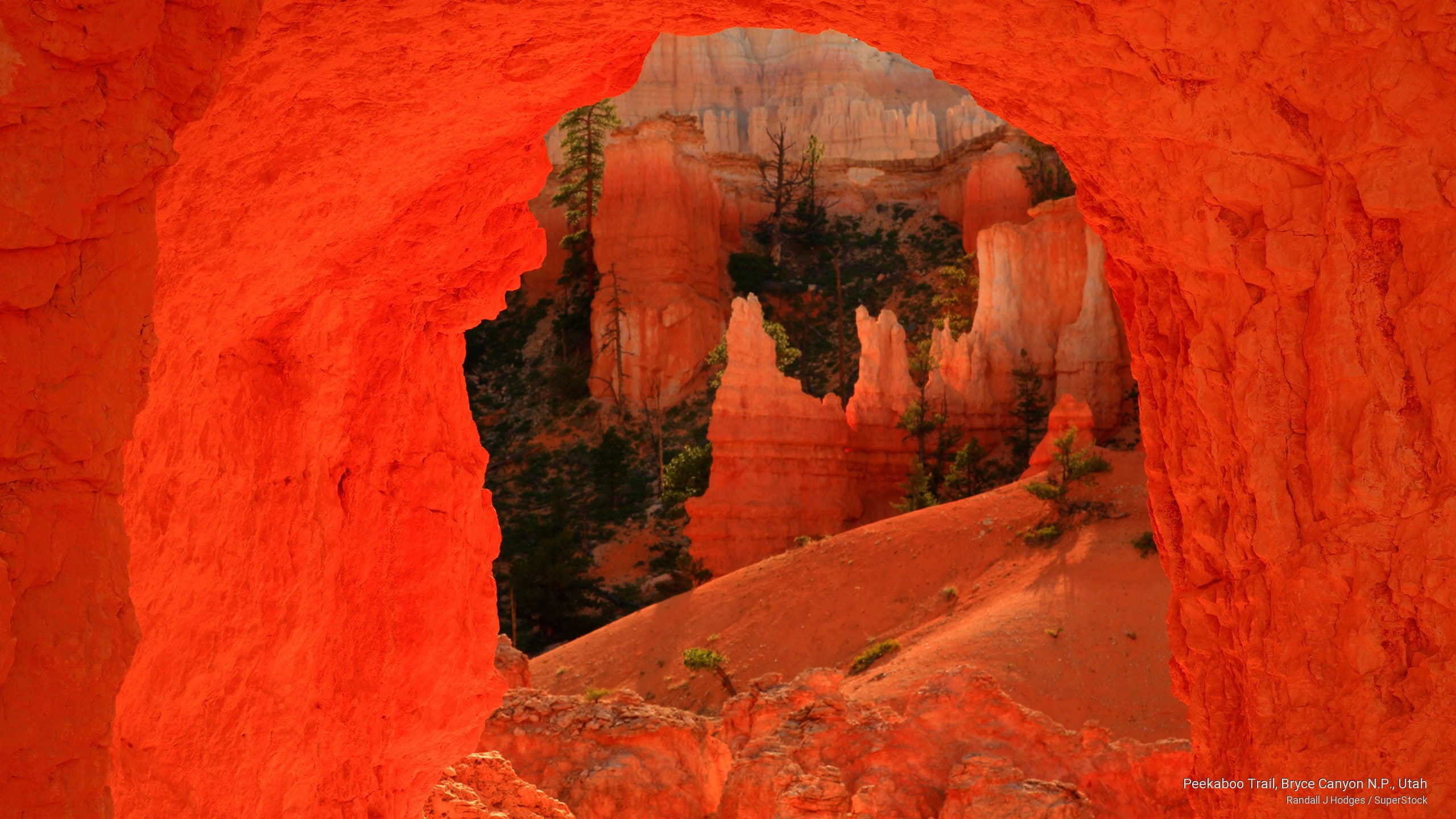 2K, utah, canyon, trail, bryce, National Parks, p, peekaboo, n, HD Wallpaper