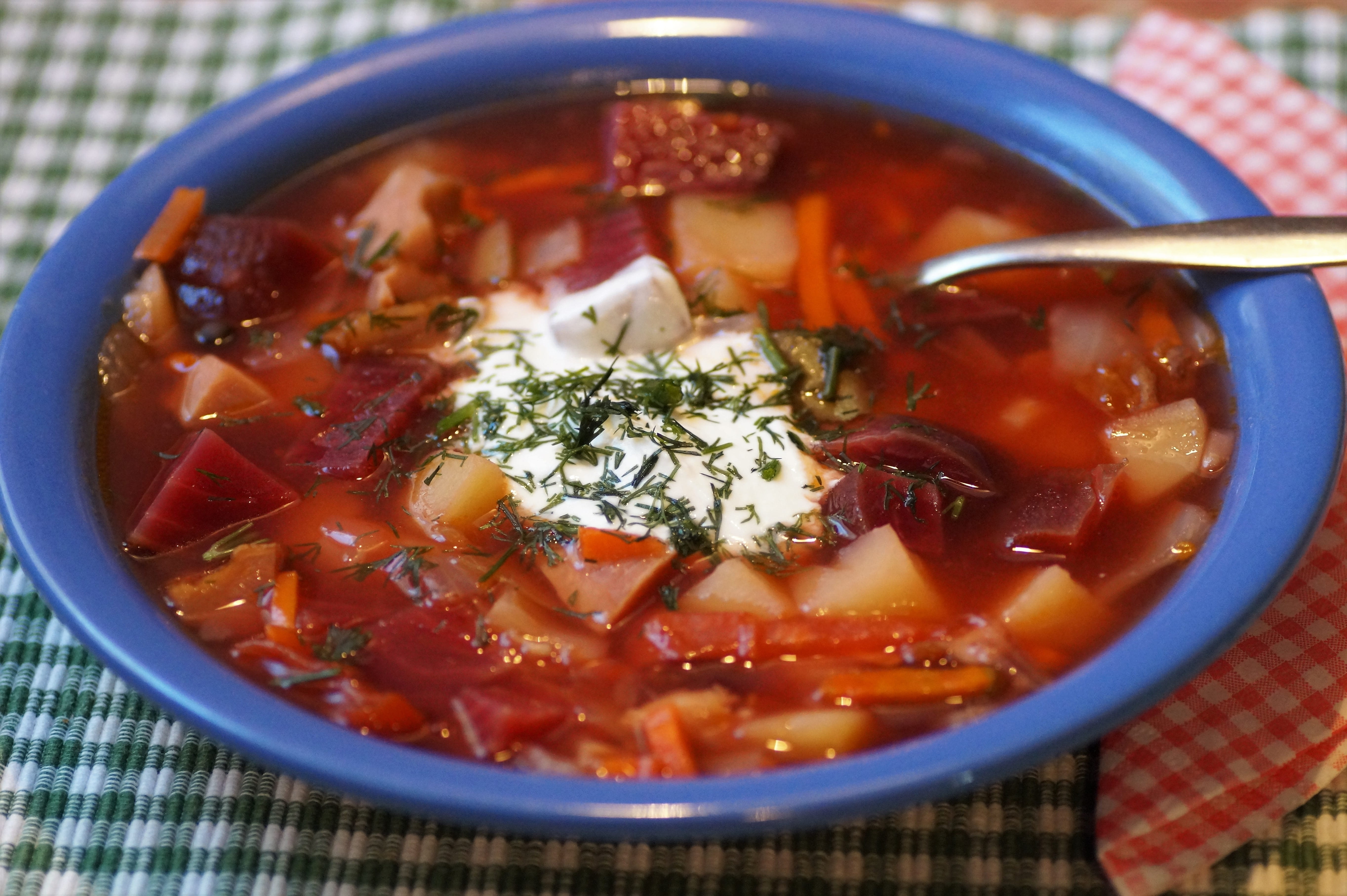 red, beets, food and drink, wellbeing, cream, flower pot, soup, freshness, food, russian, tablecloth, spice, bowl, close-up, nutritious, vegetable, vegetable soup, HD Wallpaper