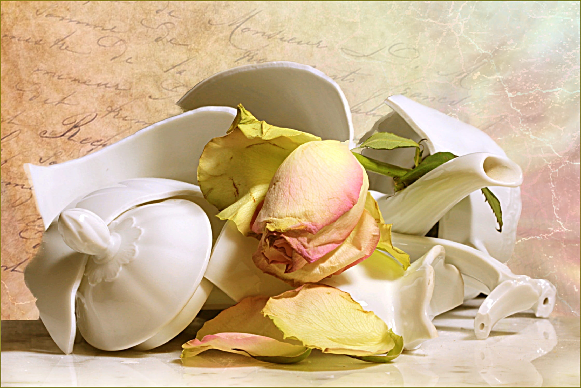 wellbeing, flower, pink, 1080P, jug broken, studio shot, pink white, still life, beauty in nature, food and drink, transient, flowering plant, rose, food, HD Wallpaper