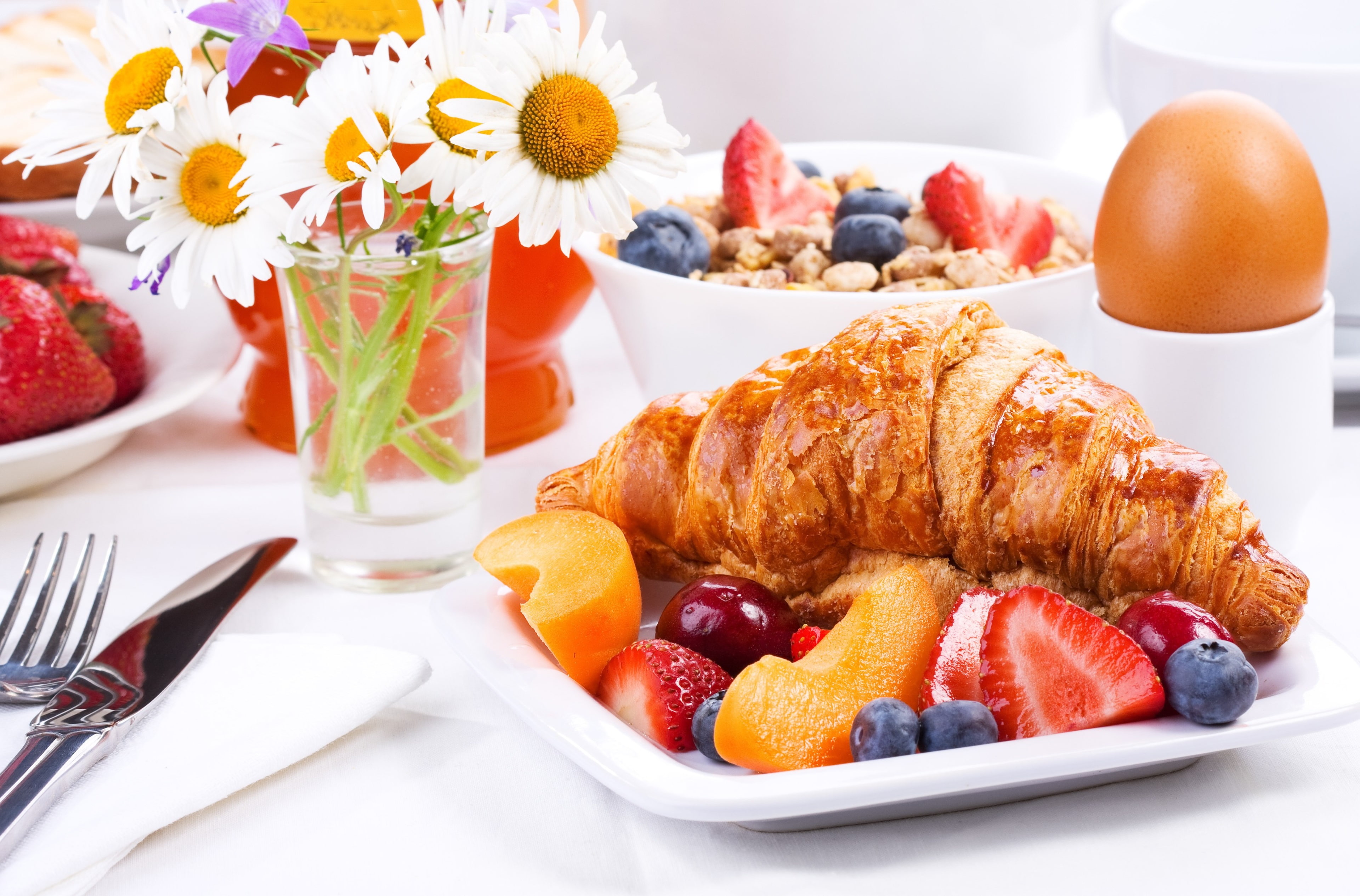 flower, berry fruit, breakfast 4k  download  for pc, flowering plant, orange color, orange, dinner, freshness, table, drink, meal, food and drink, french food, HD Wallpaper