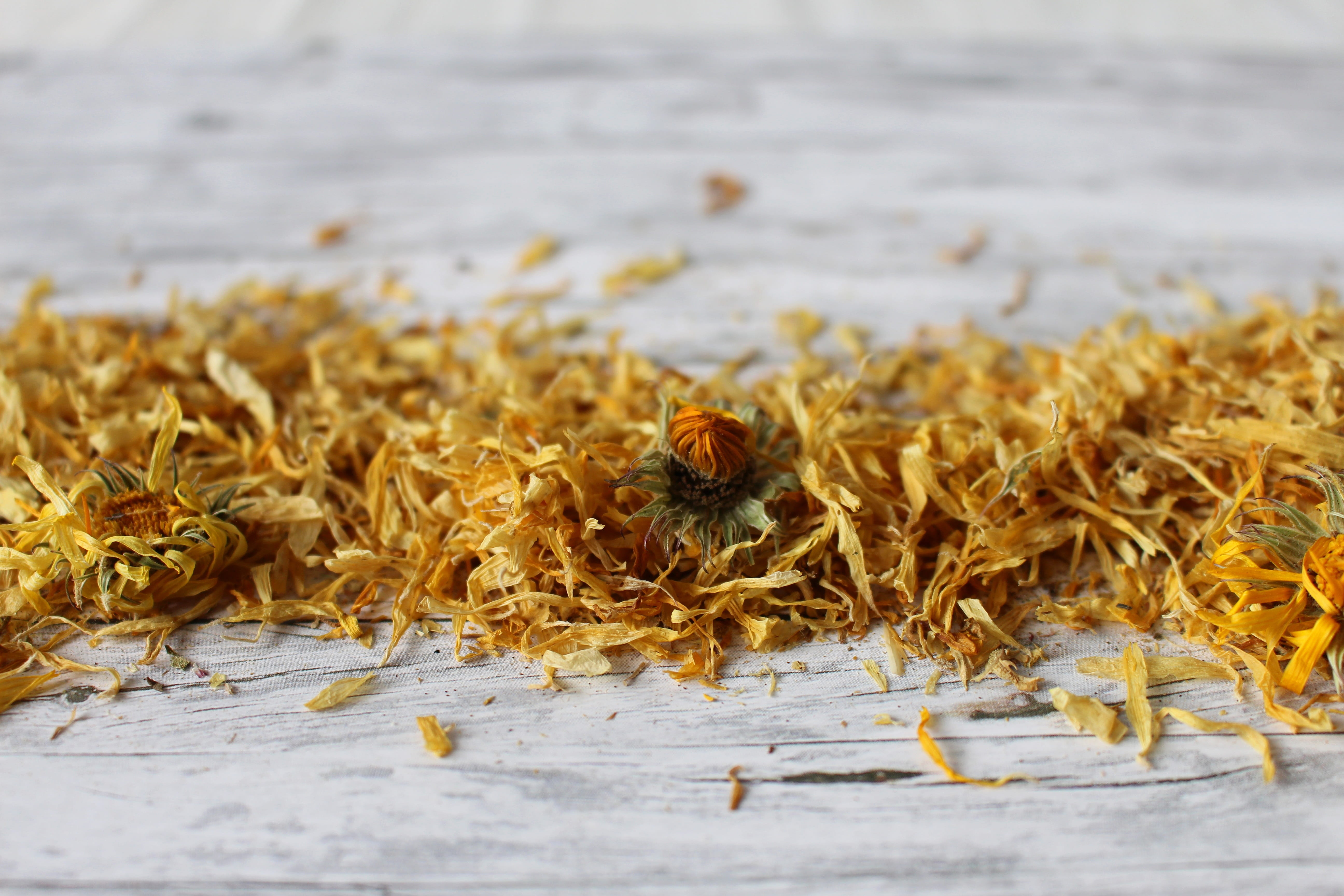 flowers, yellow, food and drink, animal wildlife, animal themes, italicum, marigold, nature, bee, background, bloom, beauty in nature, pointed flower, trockenblume, HD Wallpaper