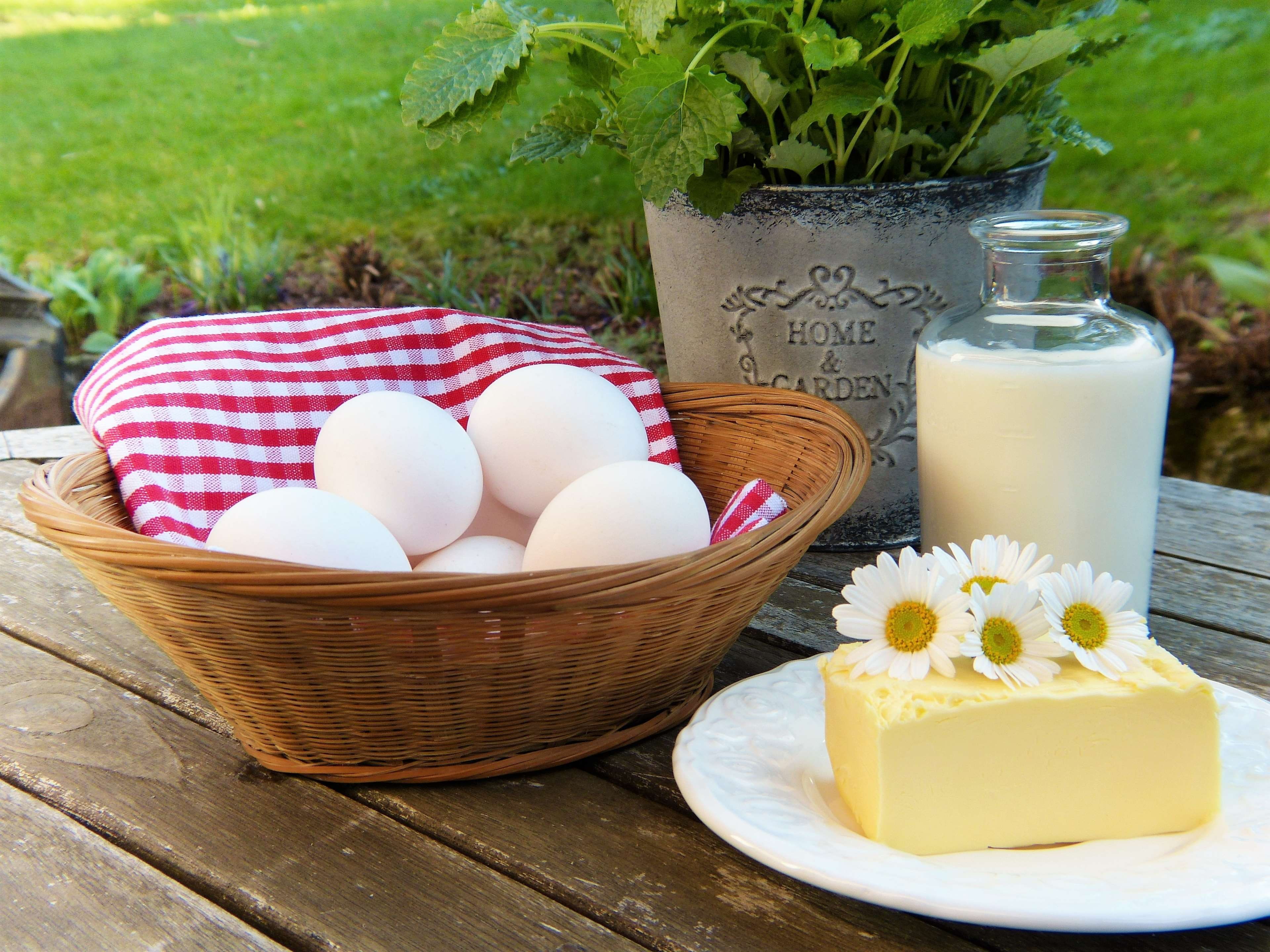 day, outdoors, milk, flowering plant, vulnerability, nature, plate, container, 4K, herbs, garden, calcium, leaves, healthy eating, plant, bowl, basket, HD Wallpaper