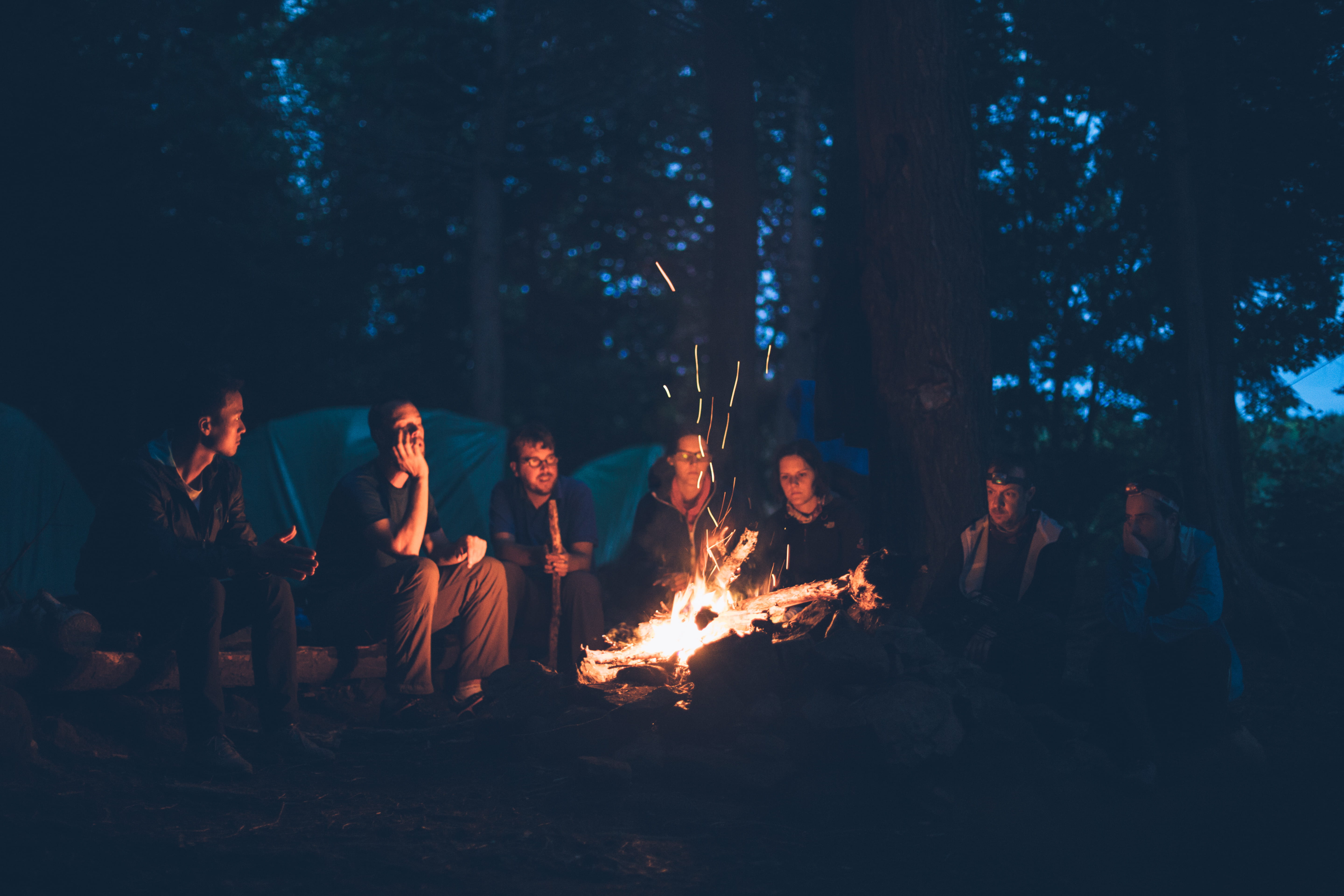 nature, forest, sitting, people, men, wood, flame, 5K, tree, campfire, night, land, medium group of people, bonfire, fire - Natural Phenomenon, group Of People, HD Wallpaper