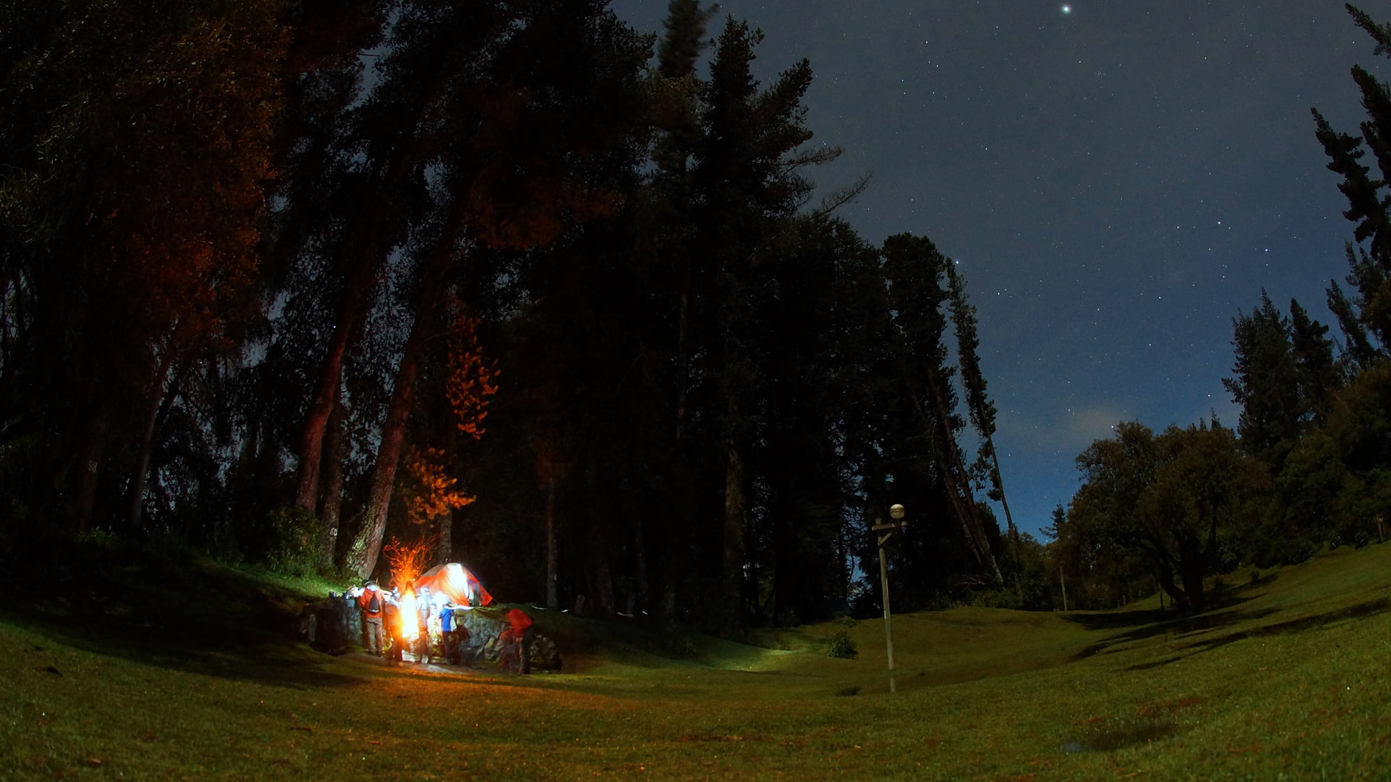 dinner, nature, natural, camping, picnic, 1080P, camper, ecuador, growth, wood, leaf, together, holiday, travel, camp, firewood, friends, smoke, fire - natural phenomenon, HD Wallpaper