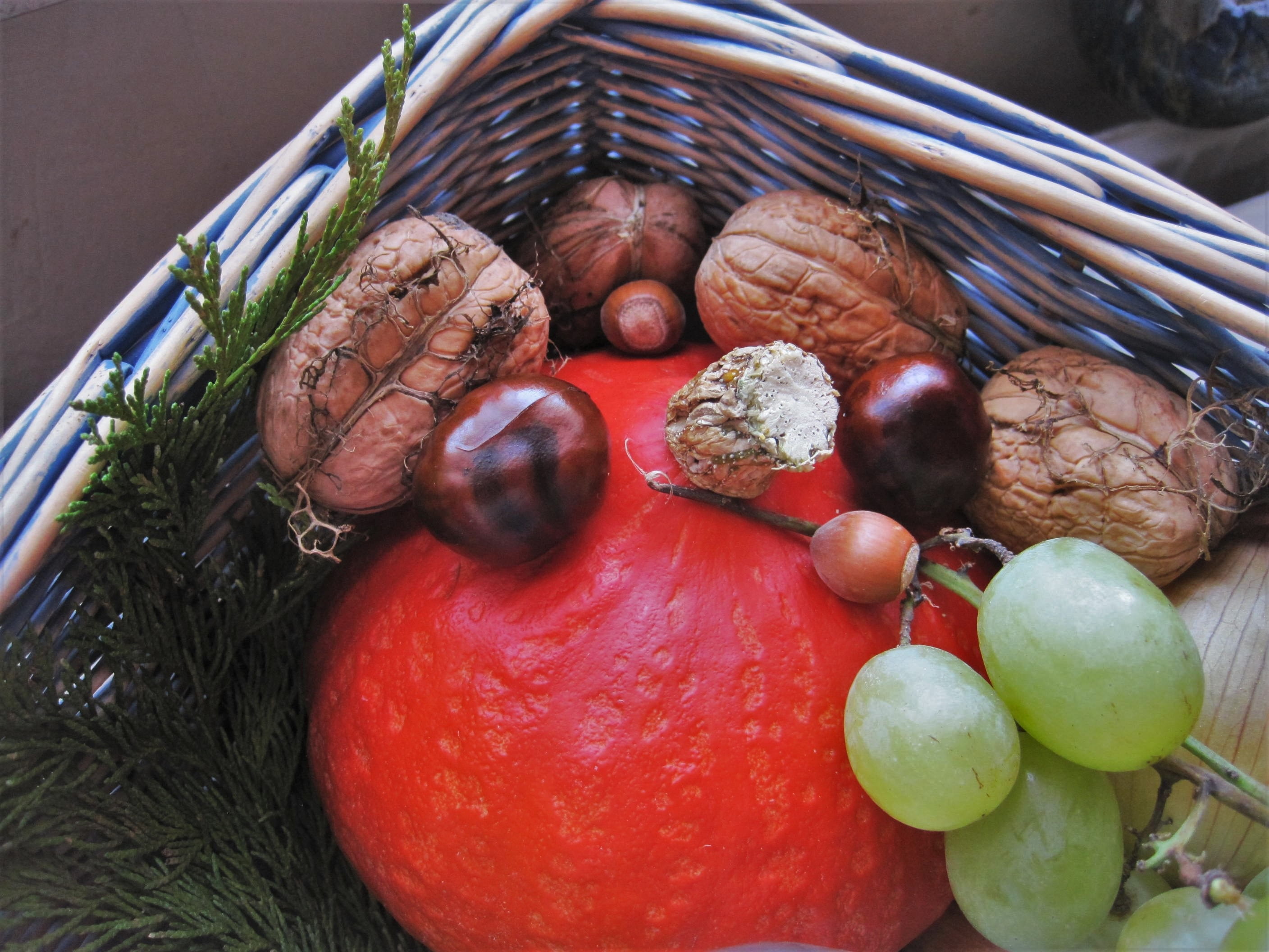 close-up, basket, autumn motive, thanksgiving, healthy, autumn fruits, decoration, Autumn, food, container, walnuts, food and drink, wellbeing, vegetable, HD Wallpaper