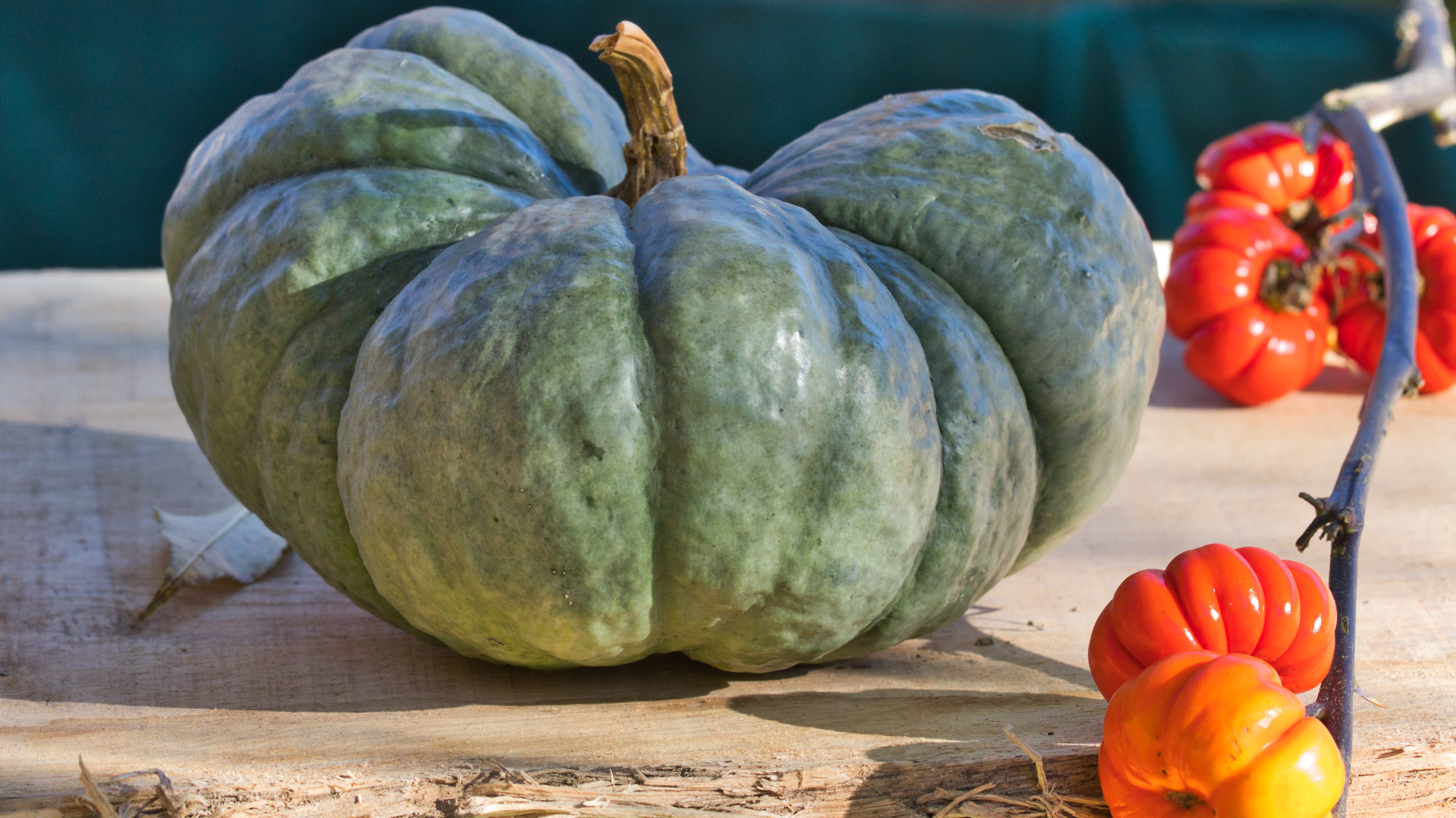food and drink, autumn, harvest, focus on foreground, close-up, red, fruit, day, food, nature, vegetable, tomato, gourd, no people, thanksgiving, autumn motives, HD Wallpaper