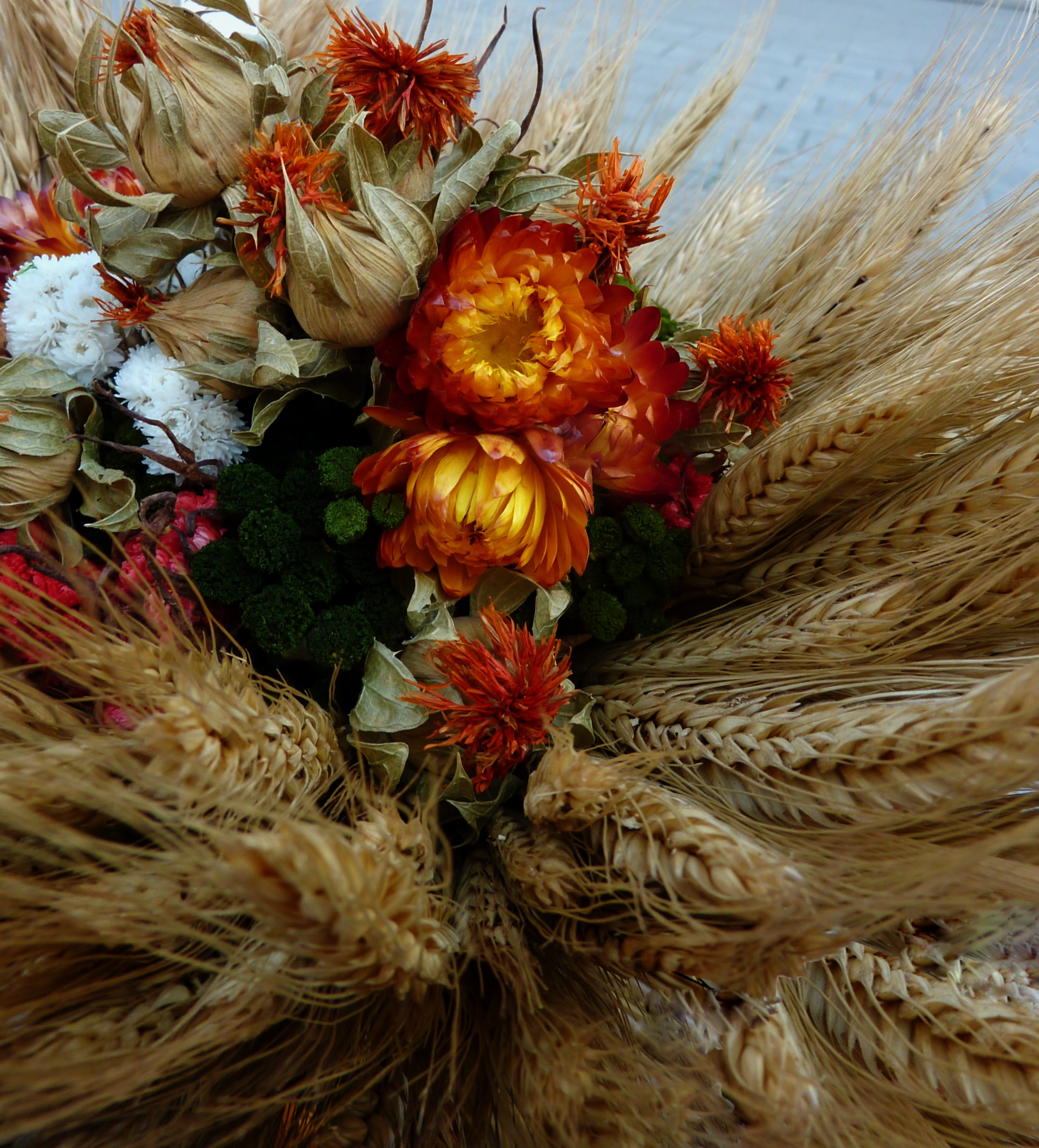 close-up, pumpkins, no people, inflorescence, vegetables, potatoes, pumpkin, happy thanksgiving, wicker, bunch of flowers, 2K, basket, bauer custom, high angle view, Phone HD Wallpaper