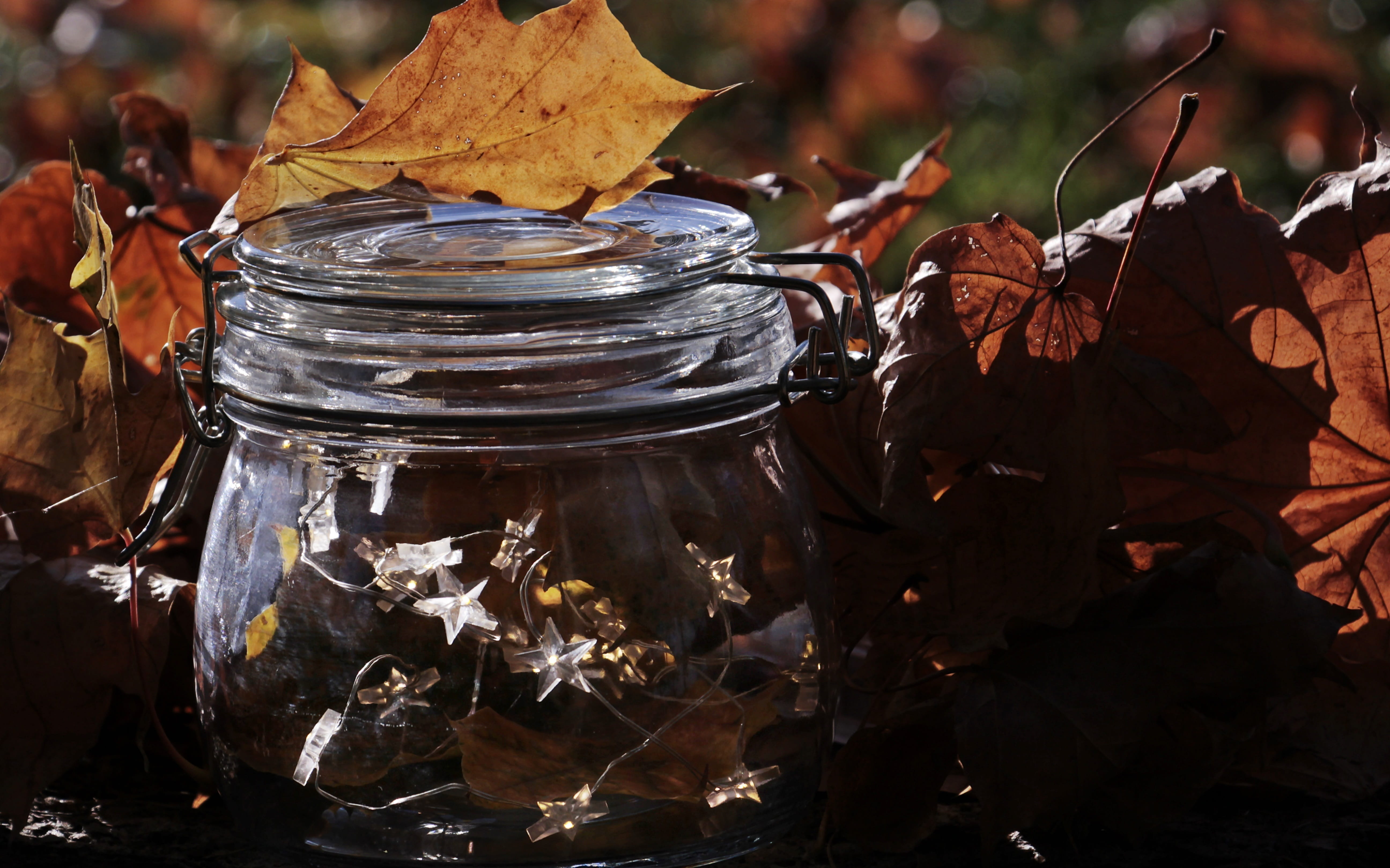 star, atmospheric, idea, outdoors, 5K, autumn motive, foliage leaf, autumn collection, day, transparent, bokeh, jar, lights, no people, container, glass - material, HD Wallpaper